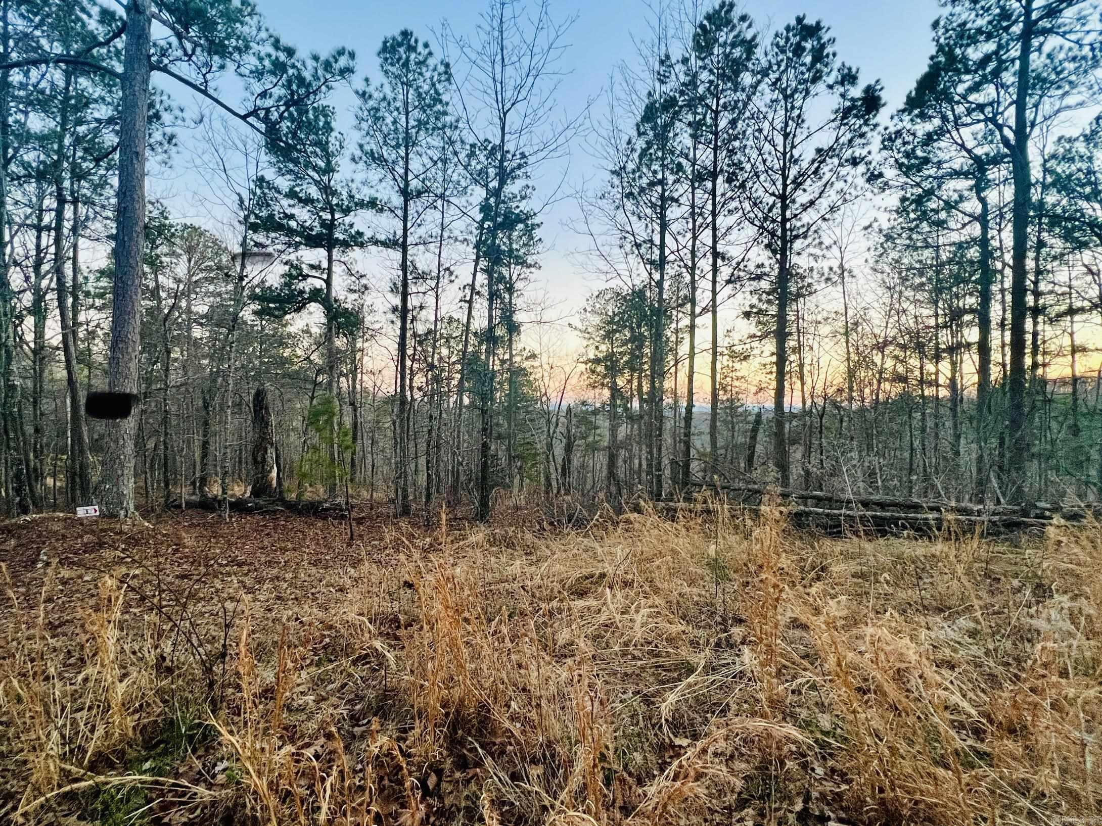 Tract 6  Ramblewood Trail  Yellville, AR