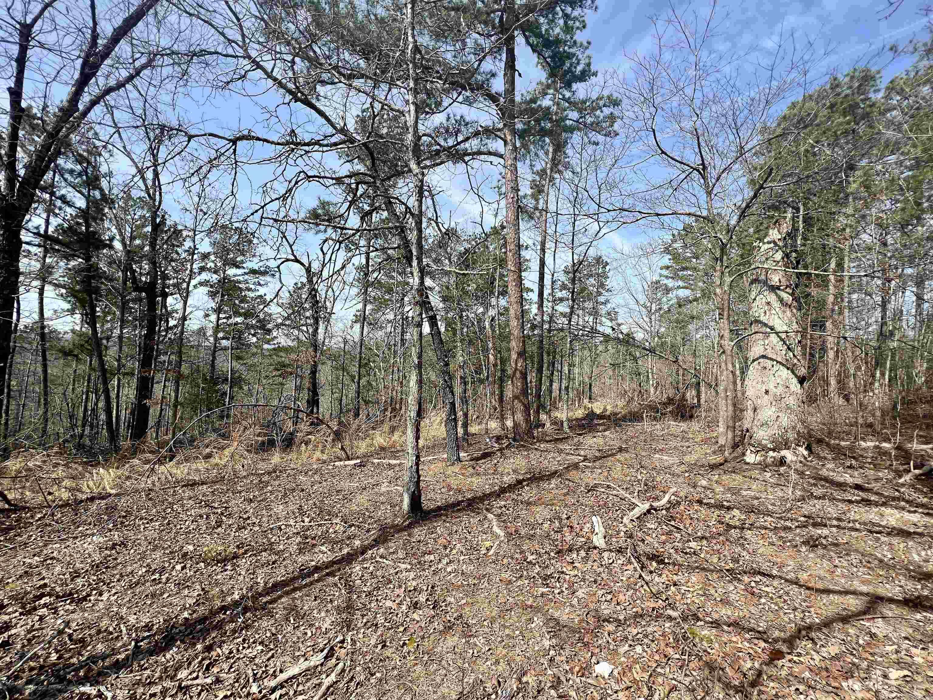 Tract 6  Ramblewood Trail  Yellville, AR