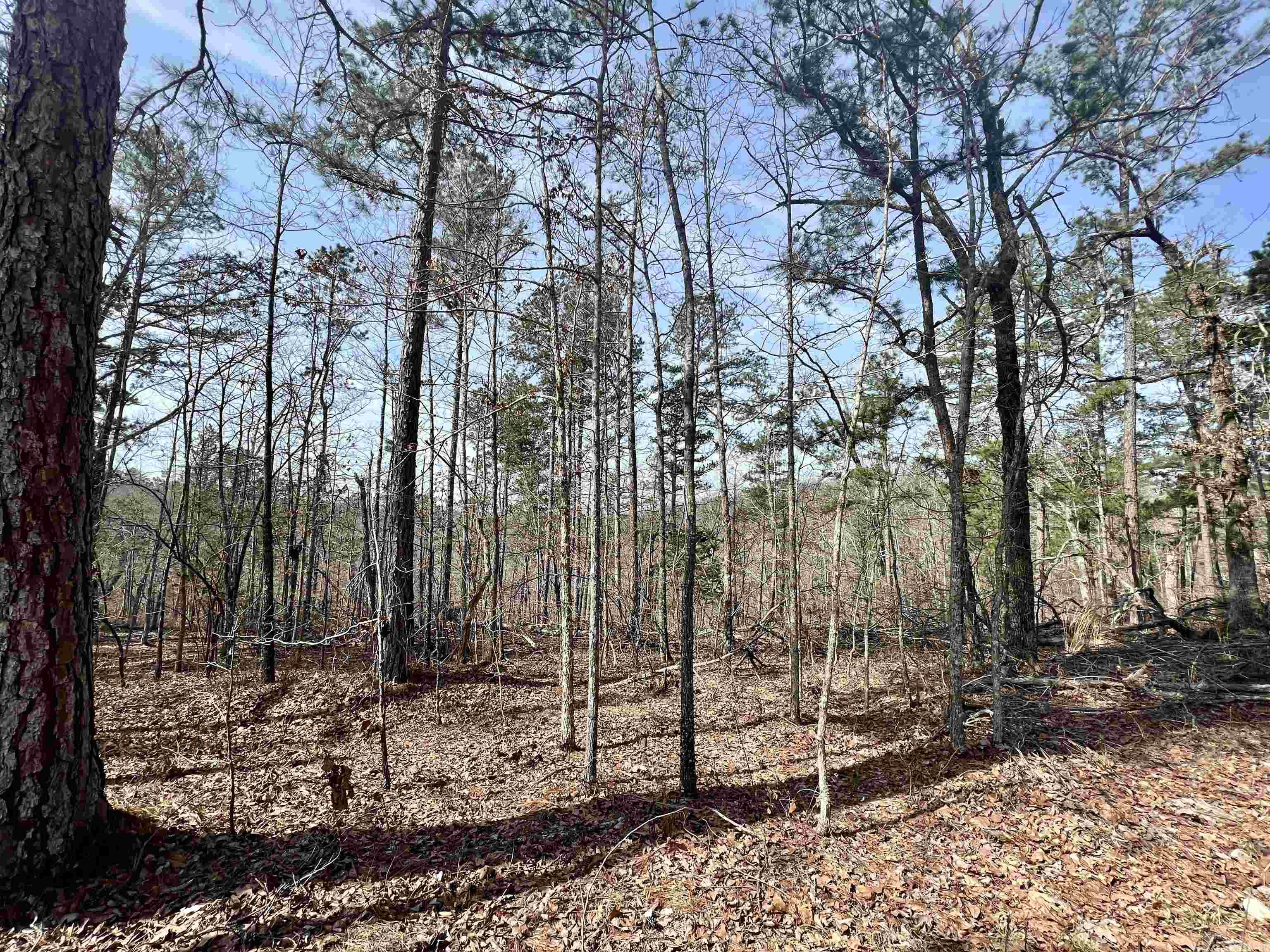Tract 6  Ramblewood Trail  Yellville, AR