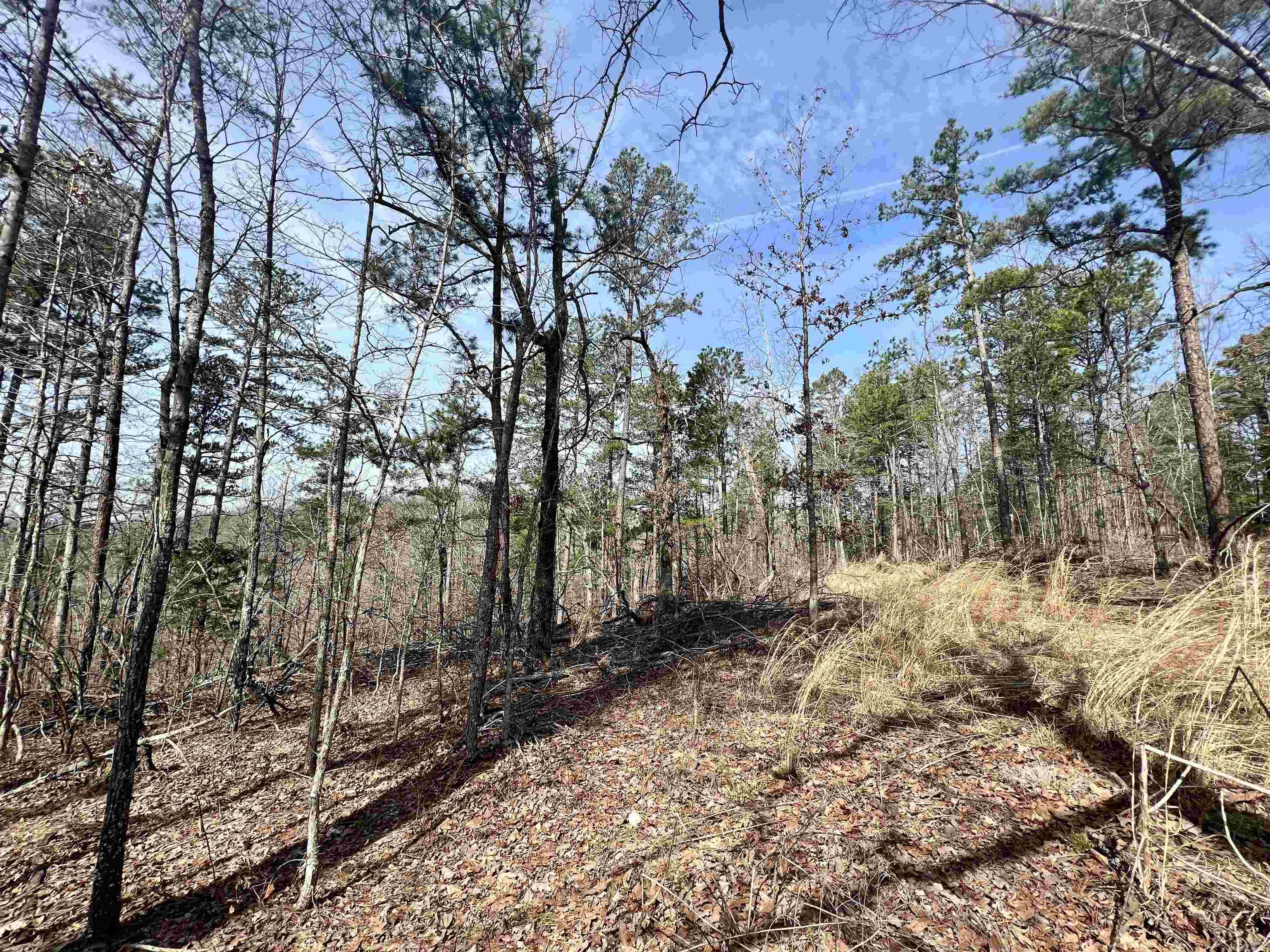 Tract 6  Ramblewood Trail  Yellville, AR