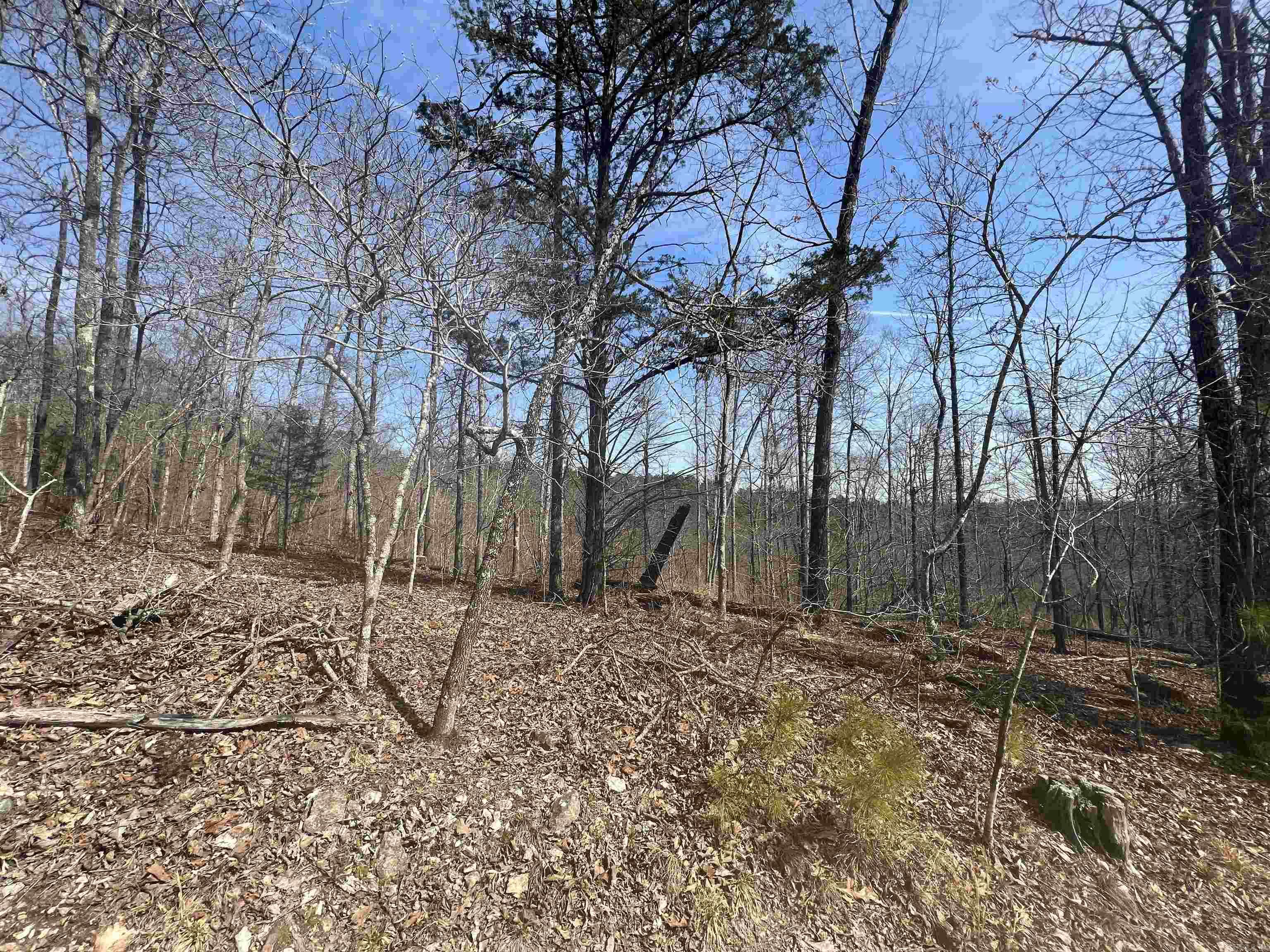 Tract 6  Ramblewood Trail  Yellville, AR