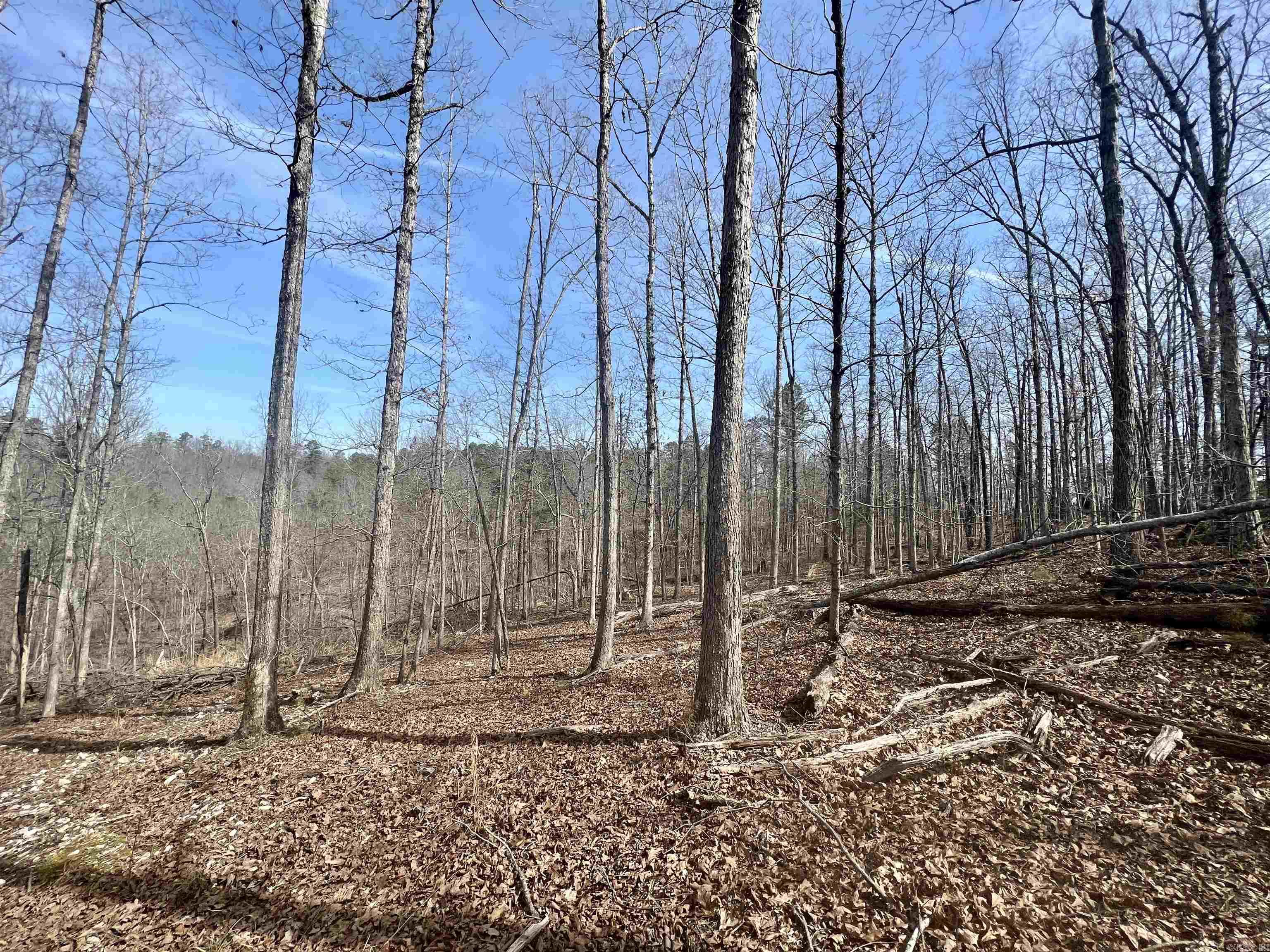 Tract 6  Ramblewood Trail  Yellville, AR
