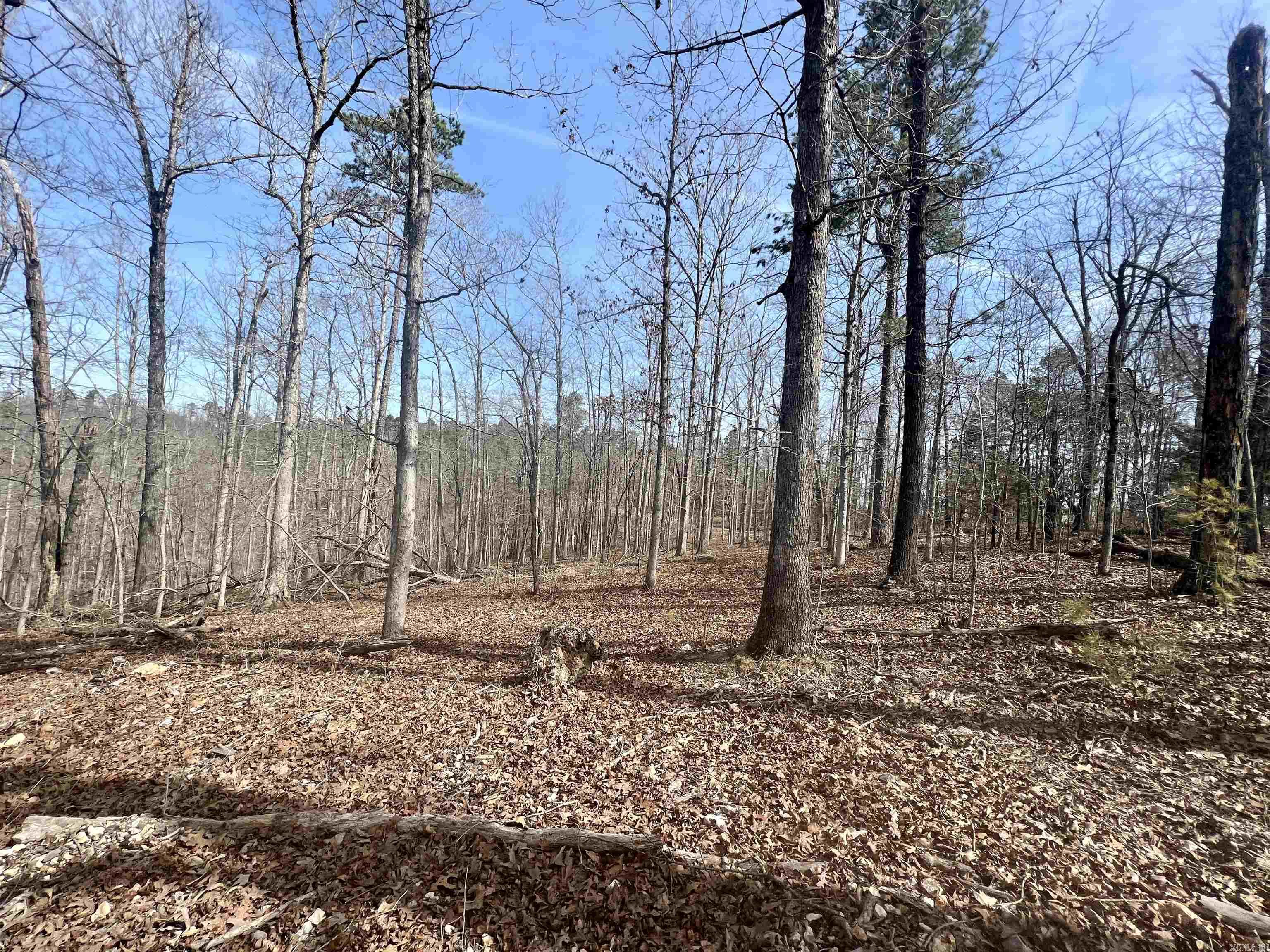 Tract 6  Ramblewood Trail  Yellville, AR