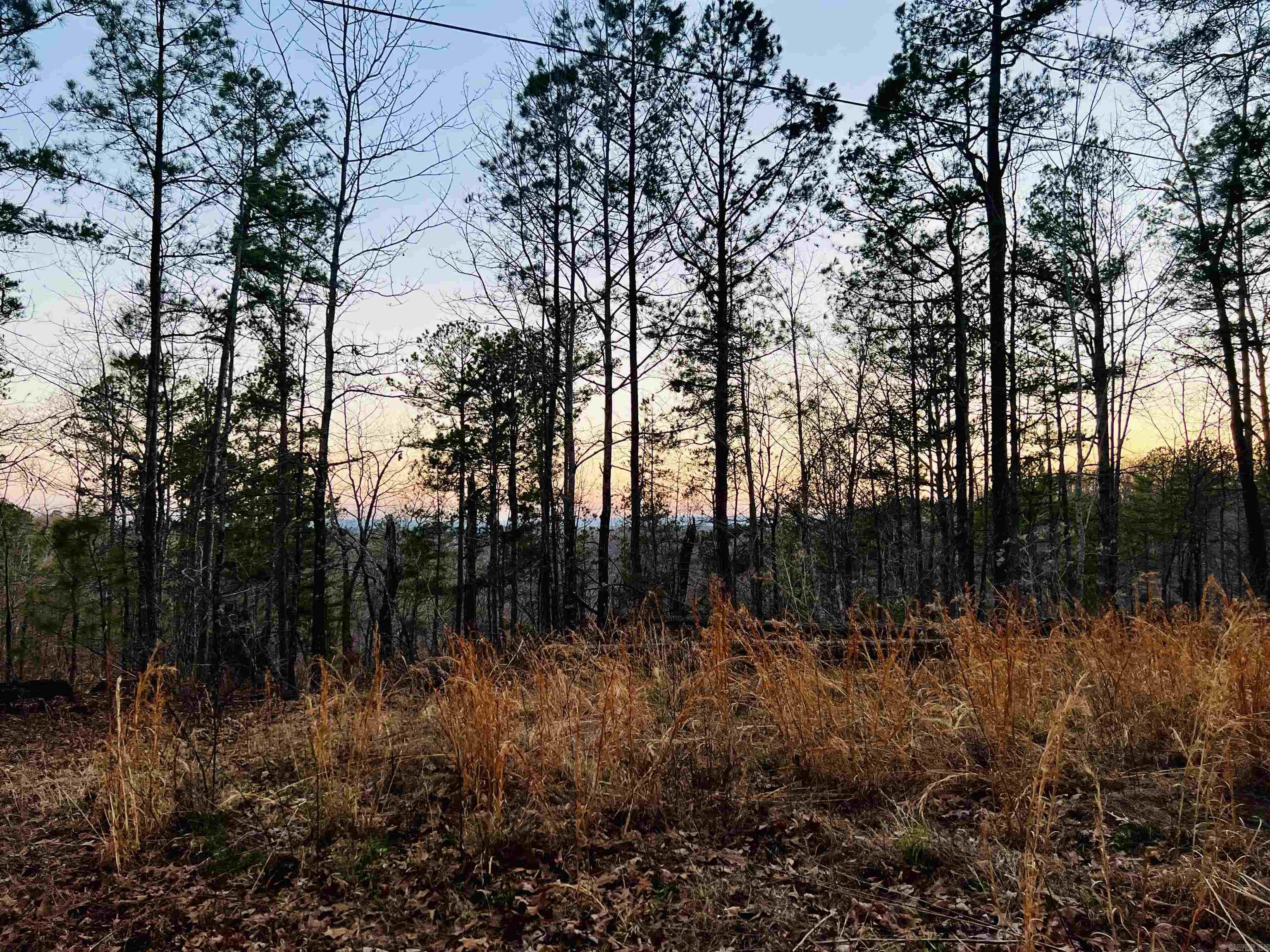 Tract 6  Ramblewood Trail  Yellville, AR