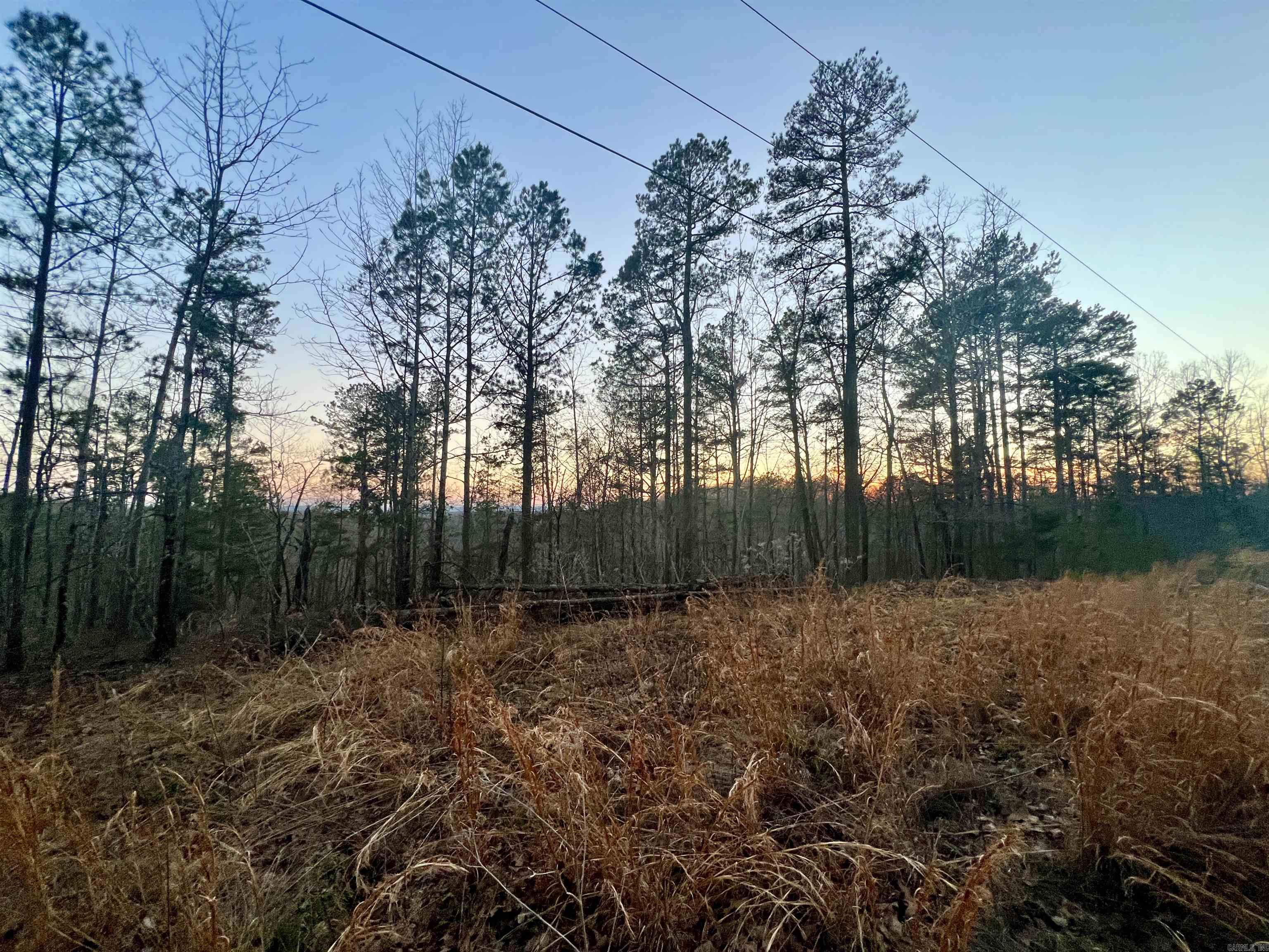 Tract 6  Ramblewood Trail  Yellville, AR