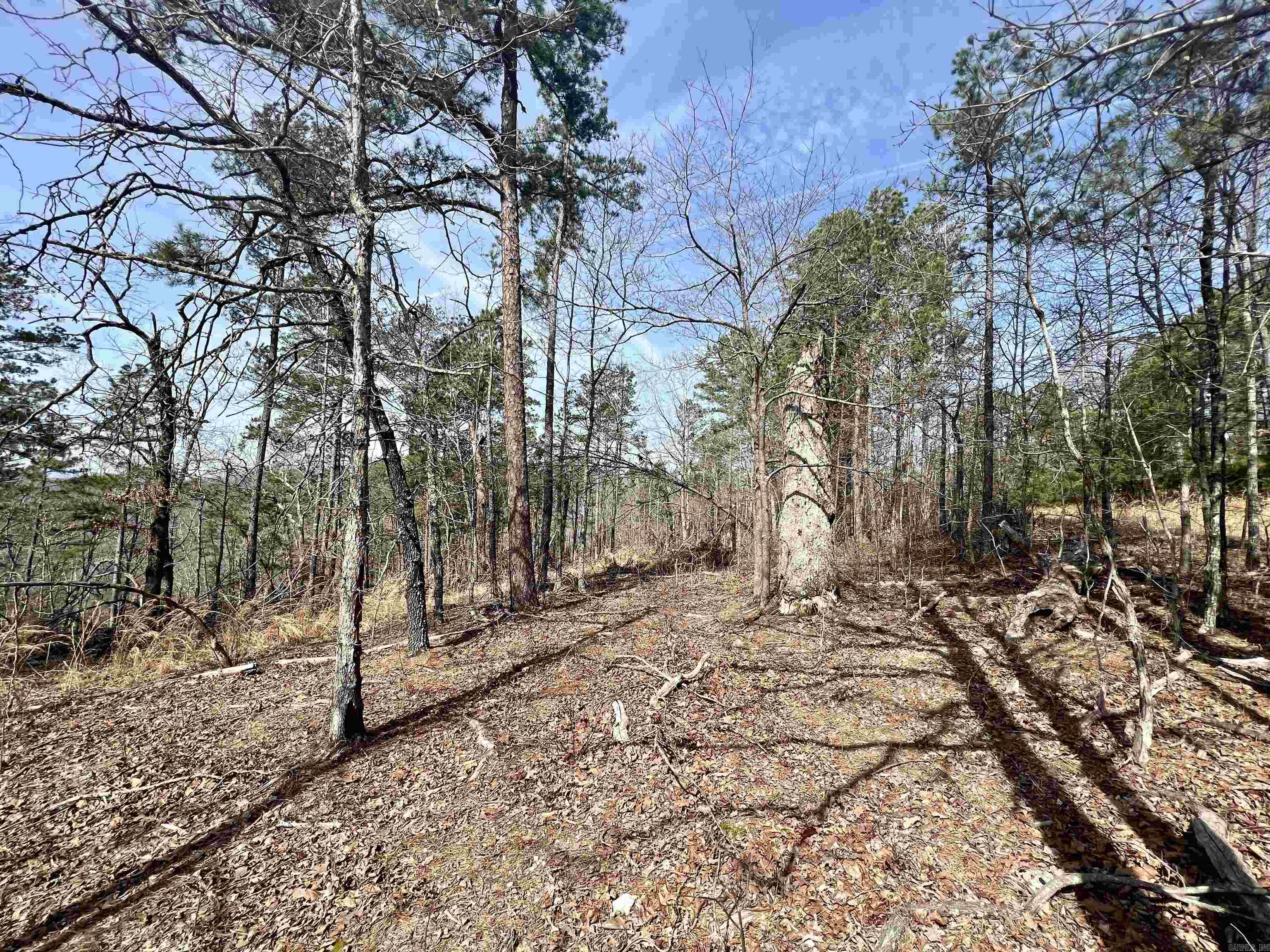 Tract 6  Ramblewood Trail  Yellville, AR