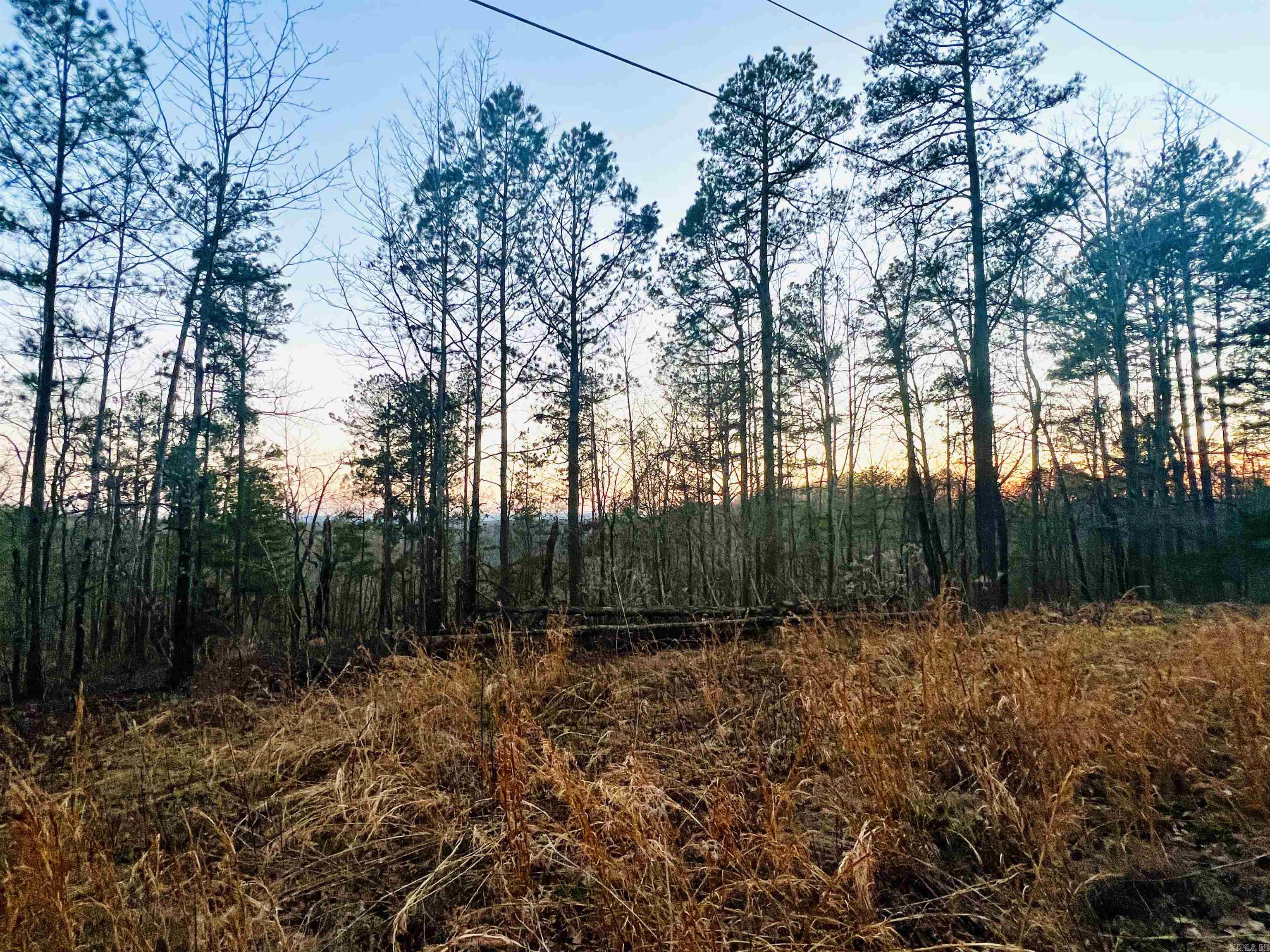 Tract 6  Ramblewood Trail  Yellville, AR