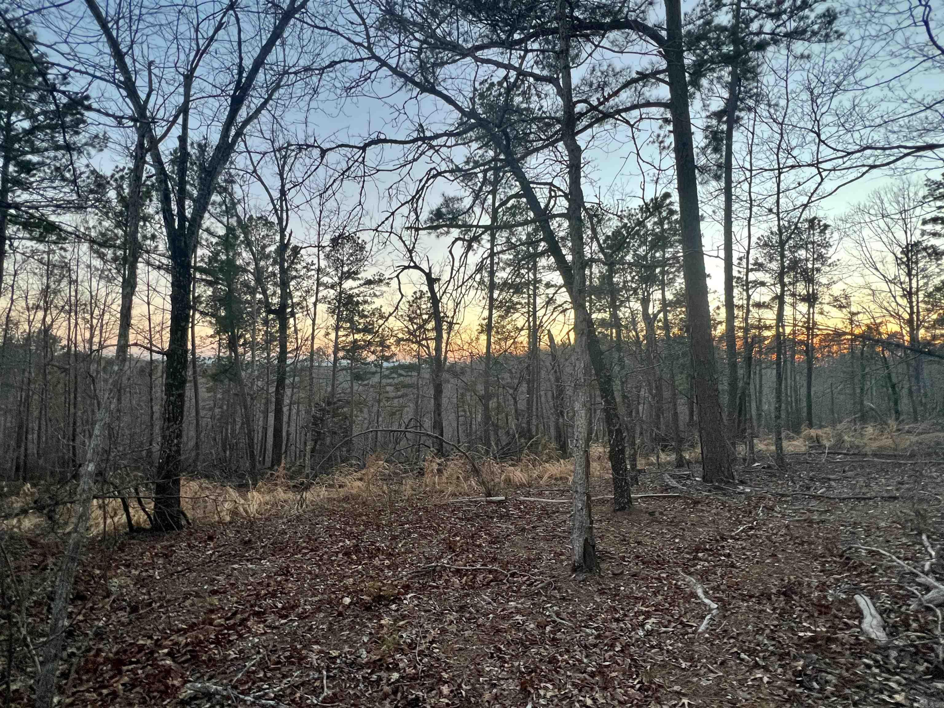 Tract 6  Ramblewood Trail  Yellville, AR
