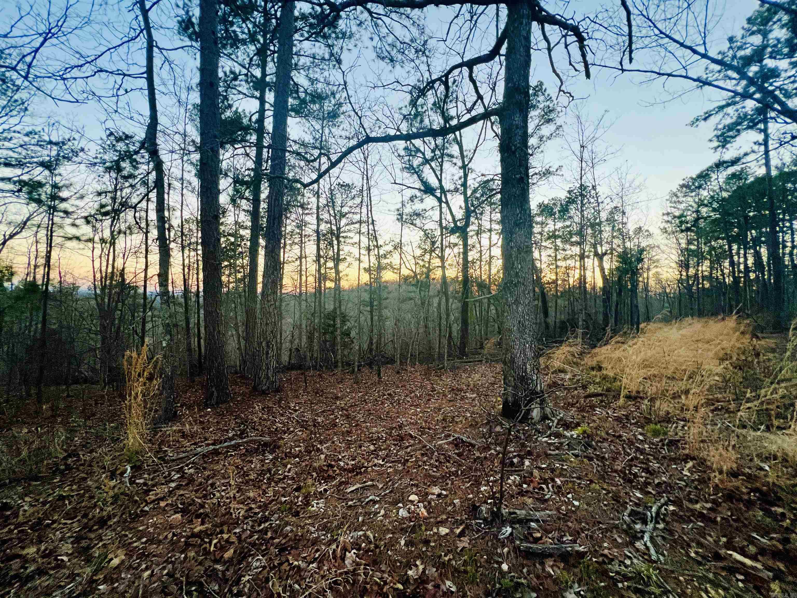 Tract 6  Ramblewood Trail  Yellville, AR