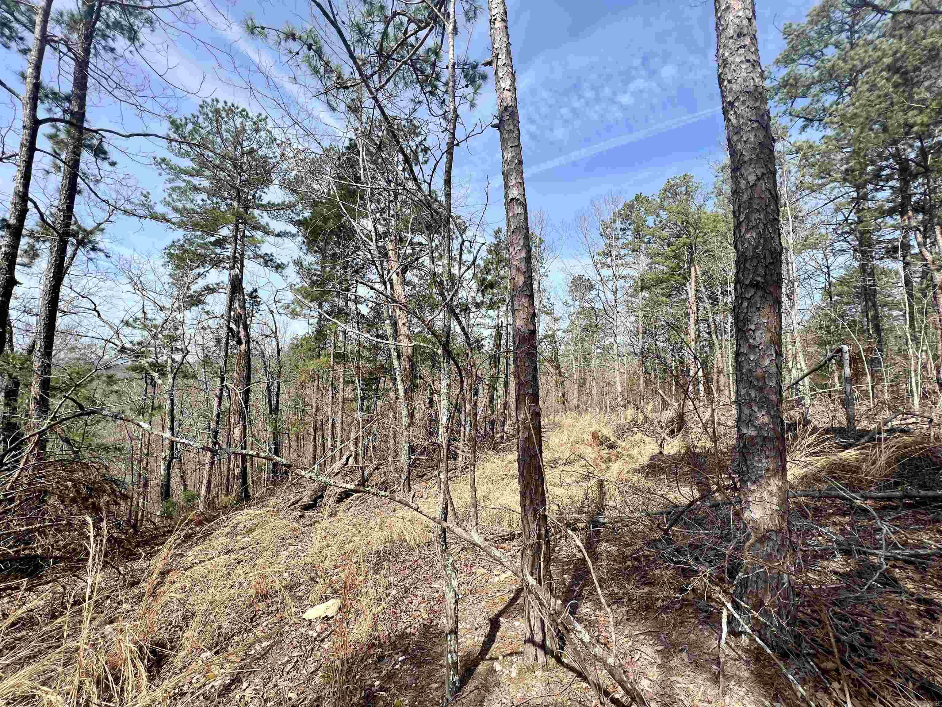 Tract 6  Ramblewood Trail  Yellville, AR