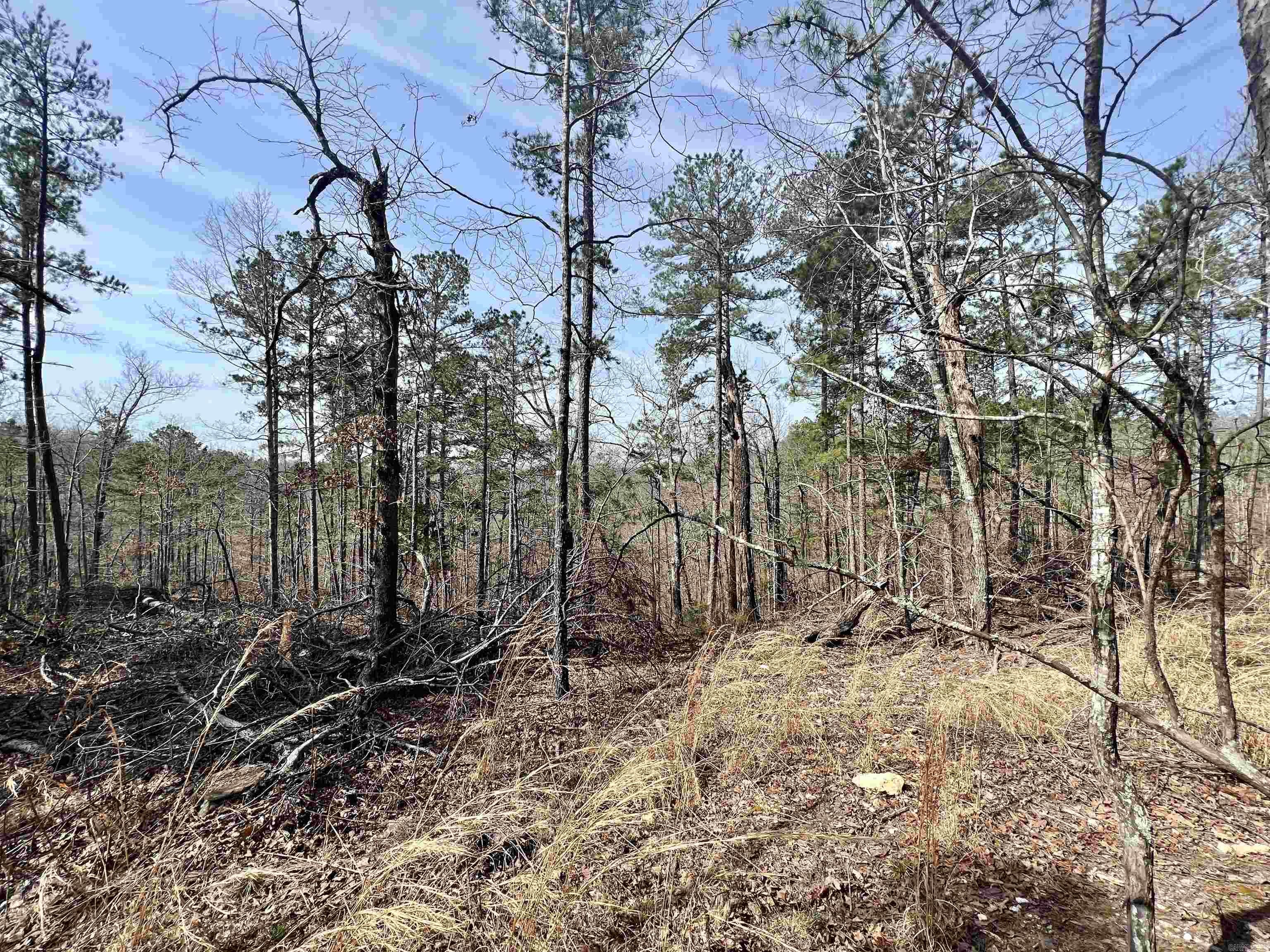 Tract 6  Ramblewood Trail  Yellville, AR