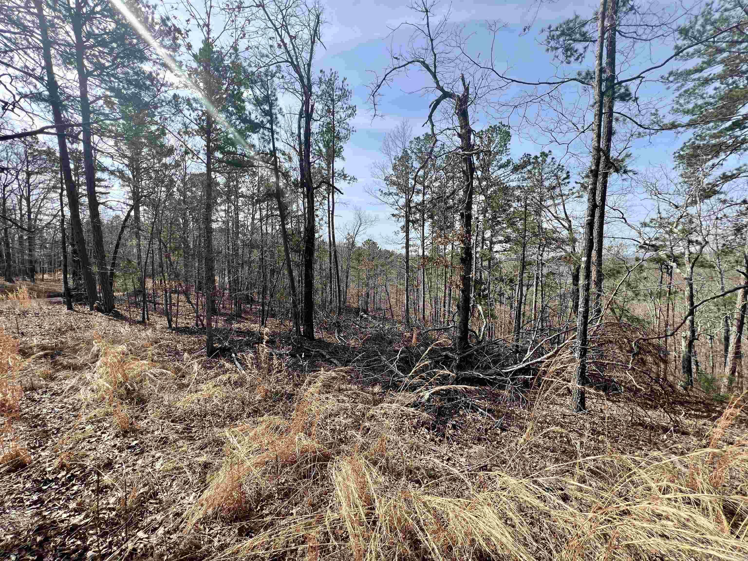 Tract 6  Ramblewood Trail  Yellville, AR