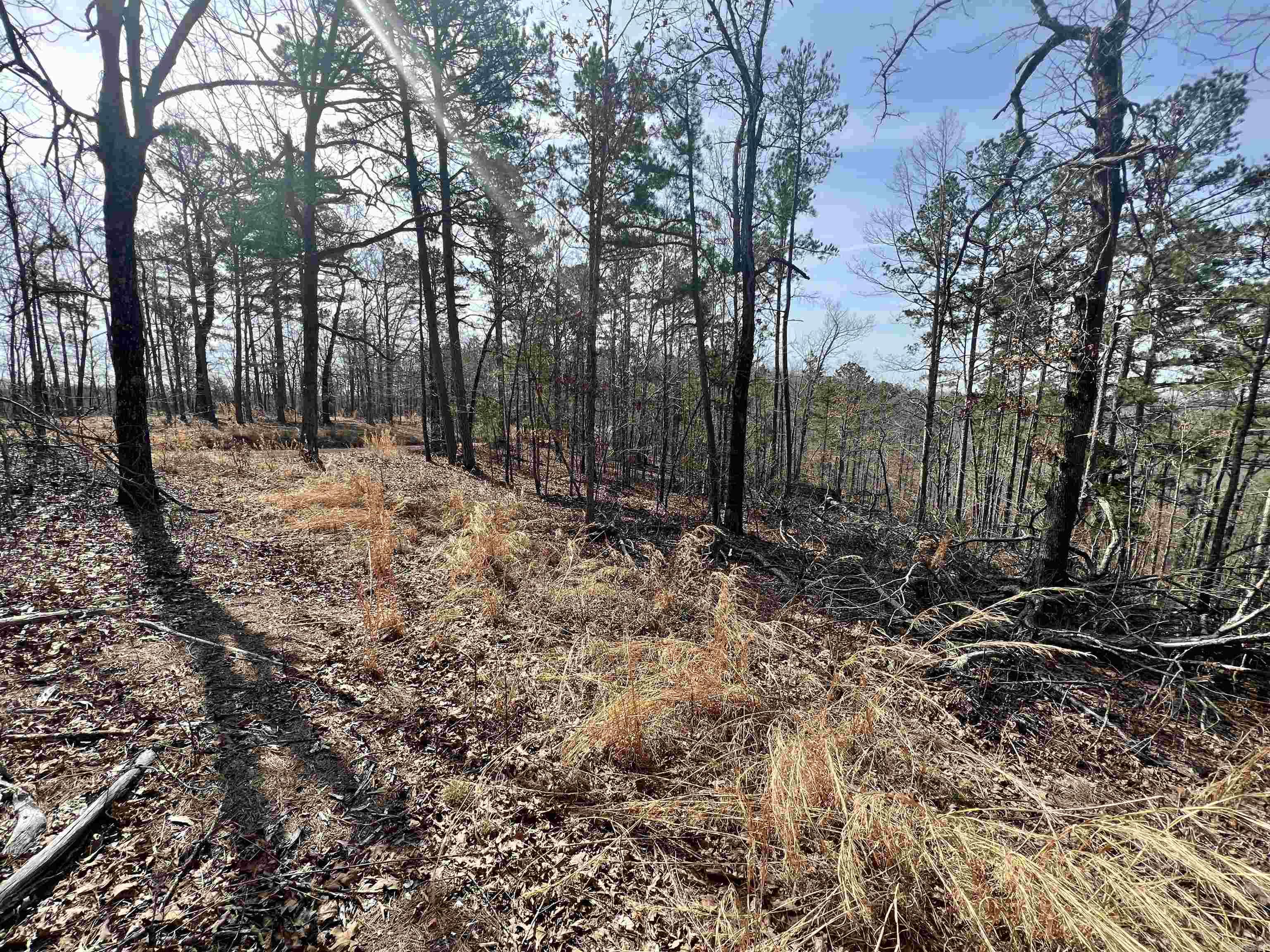 Tract 6  Ramblewood Trail  Yellville, AR