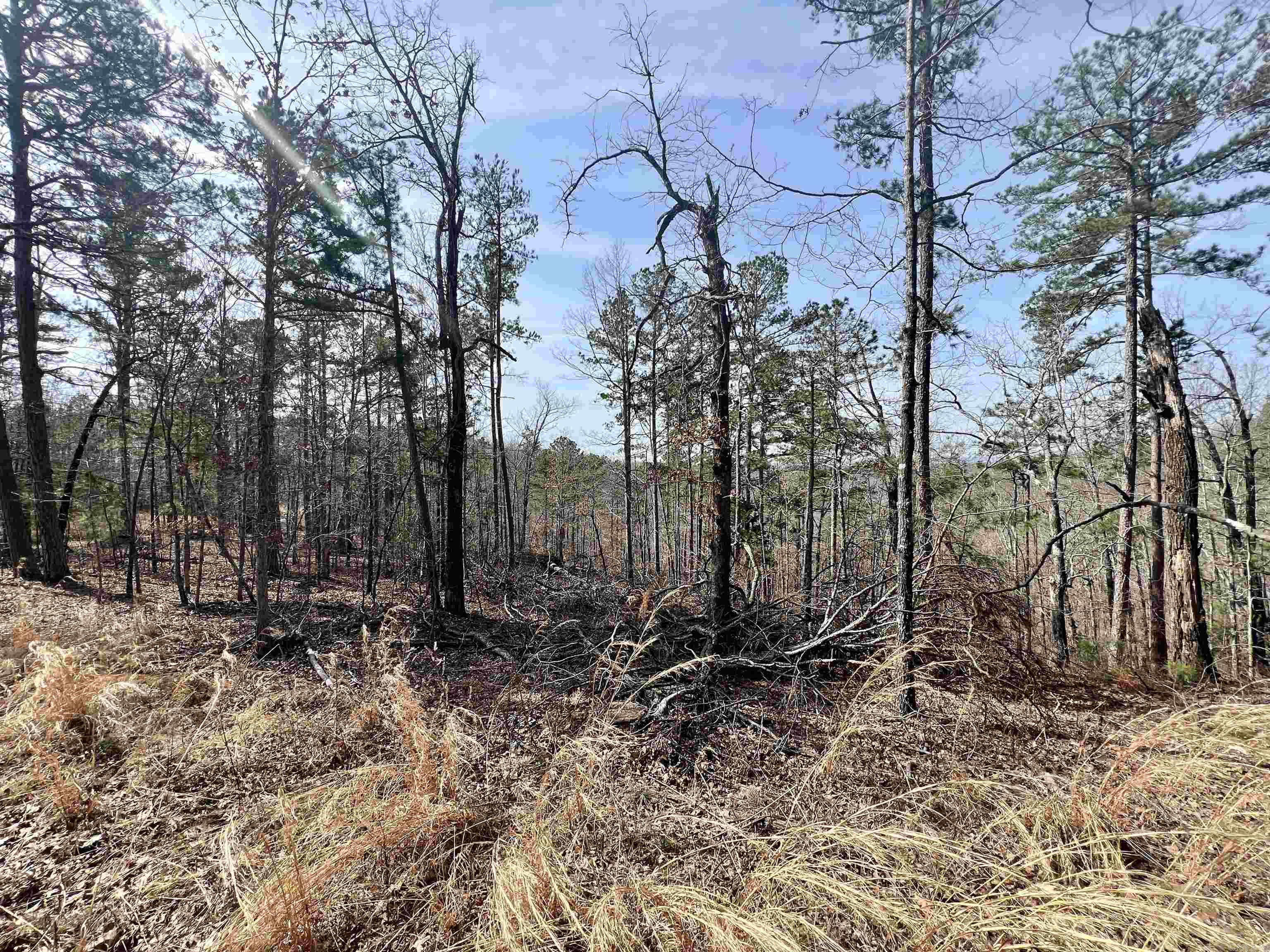 Tract 6  Ramblewood Trail  Yellville, AR