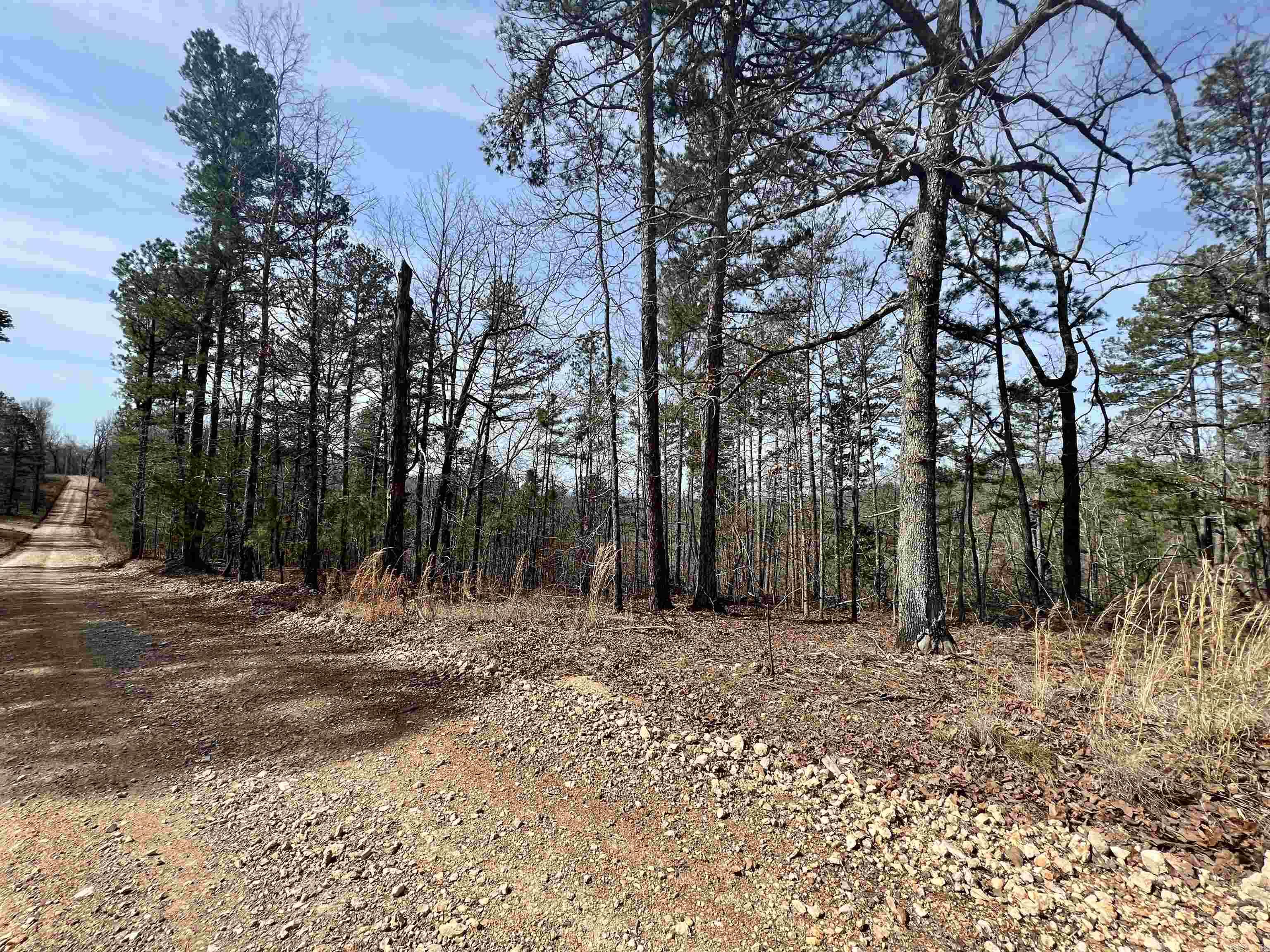 Tract 6  Ramblewood Trail  Yellville, AR