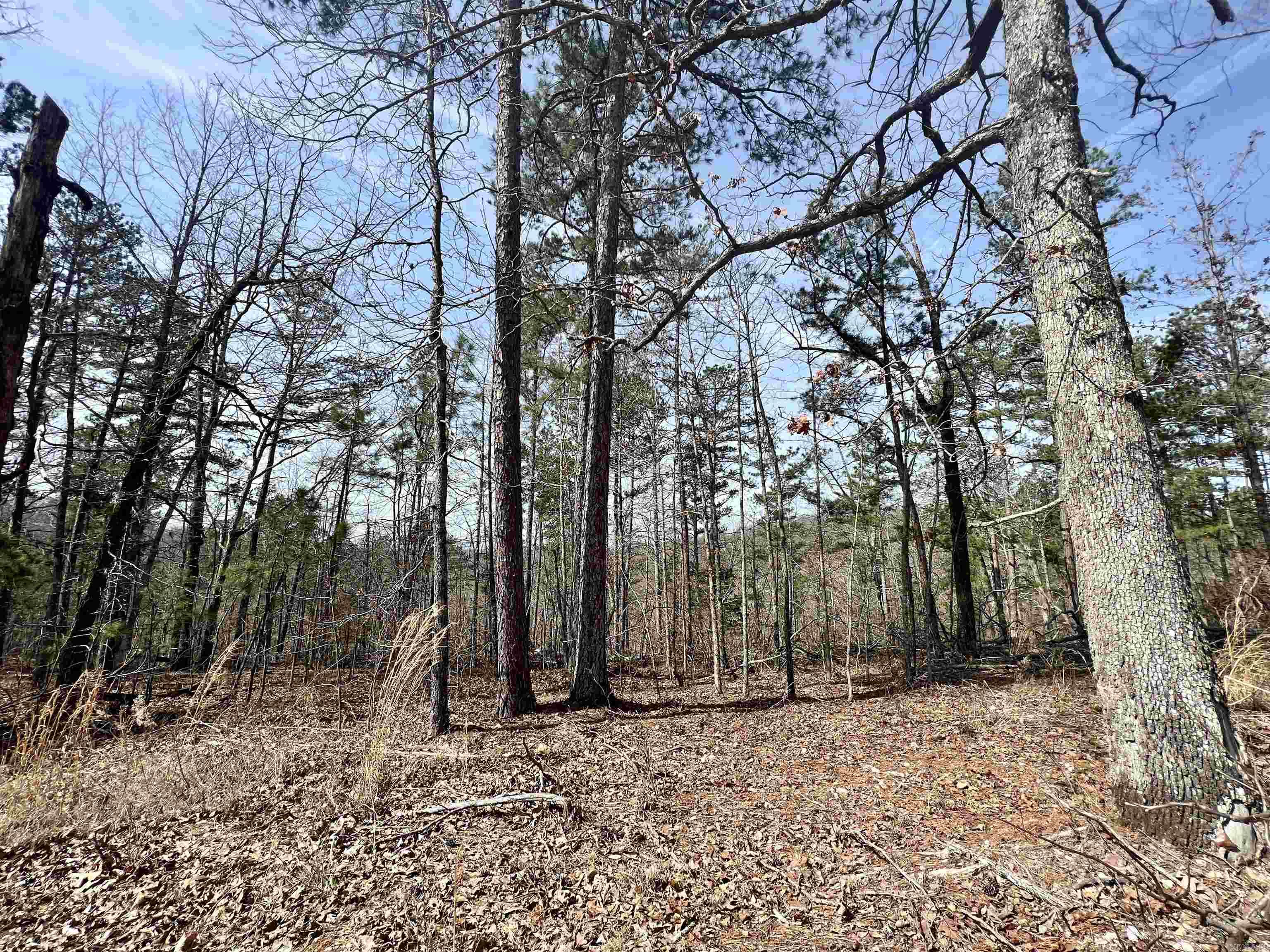Tract 6  Ramblewood Trail  Yellville, AR