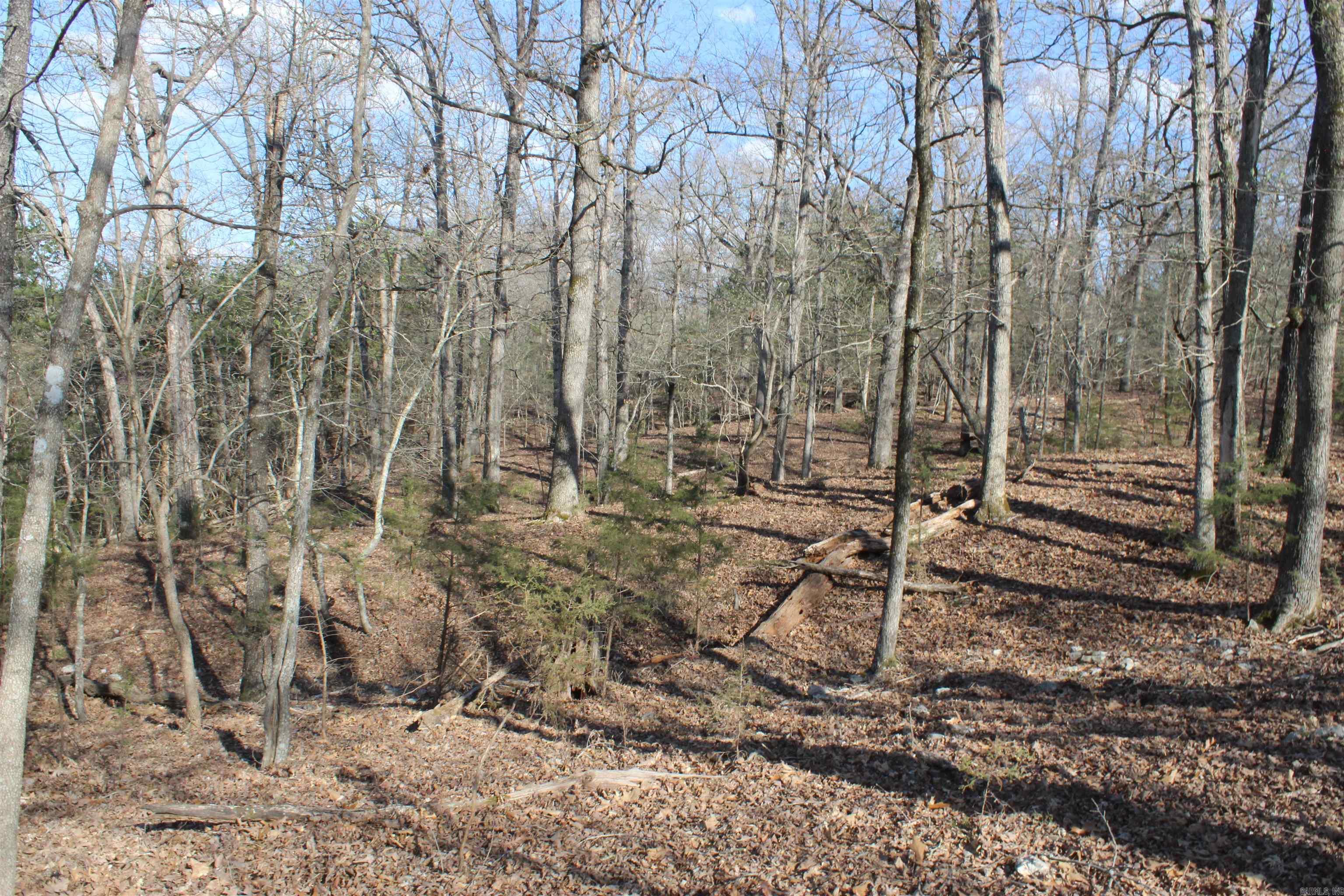 151  Vance Rd  Peel, AR