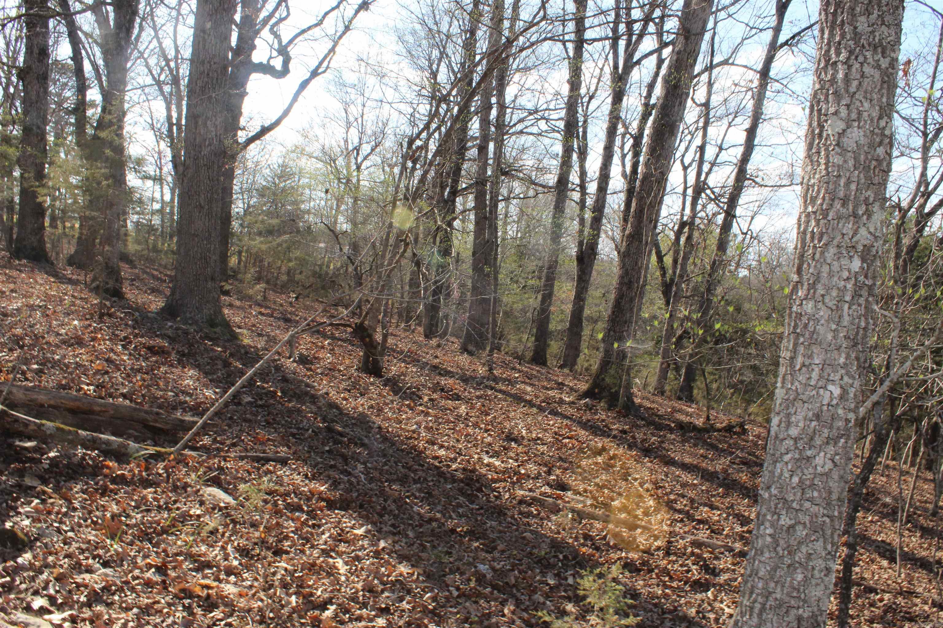 151  Vance Rd  Peel, AR