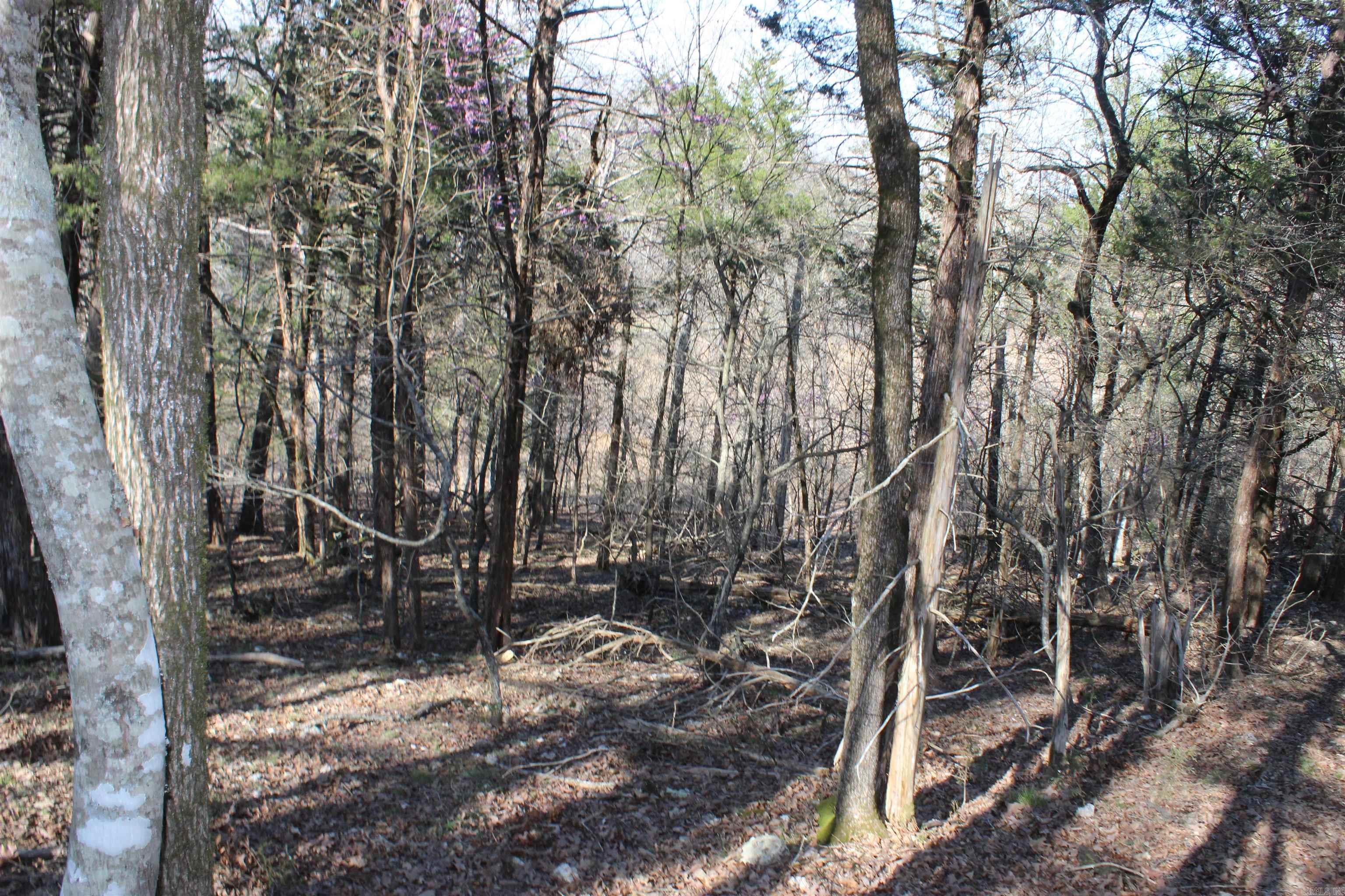 151  Vance Rd  Peel, AR