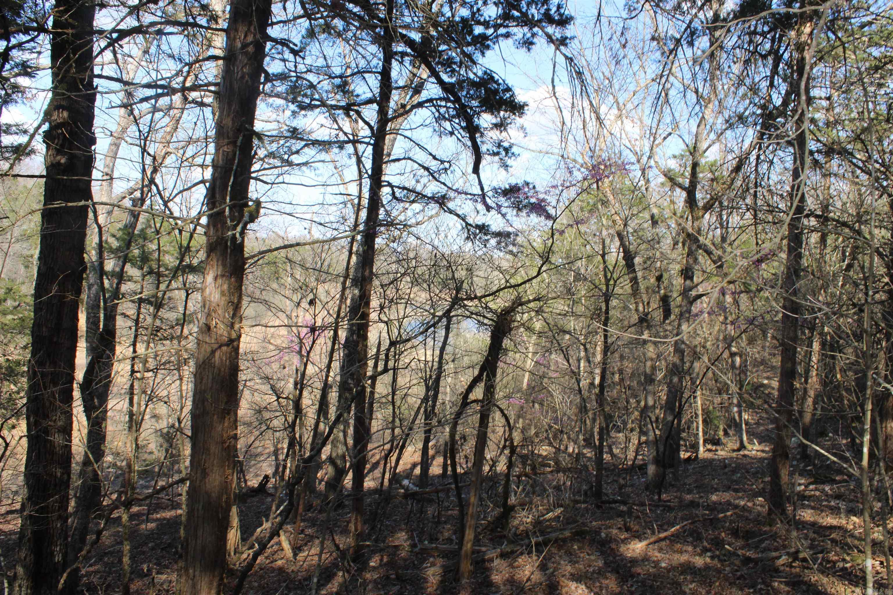 151  Vance Rd  Peel, AR