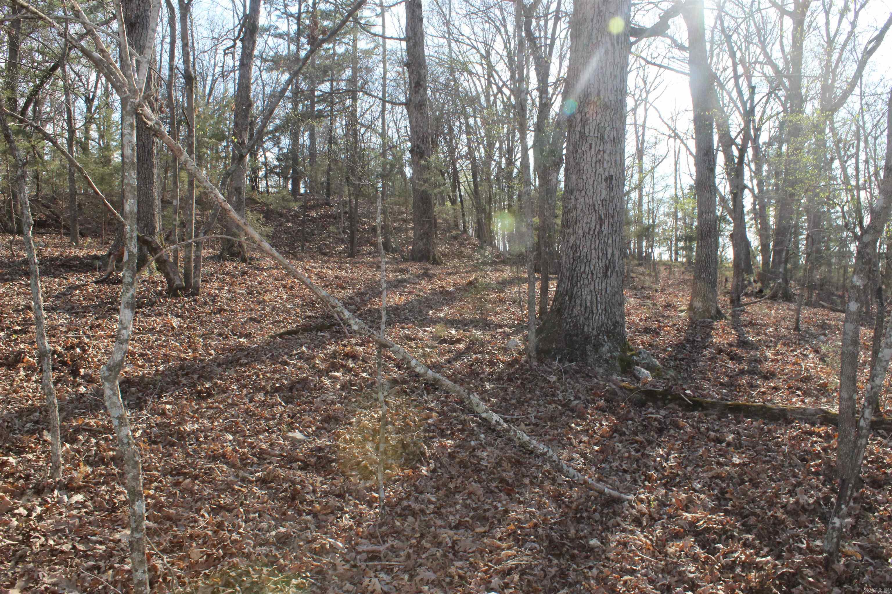 151  Vance Rd  Peel, AR