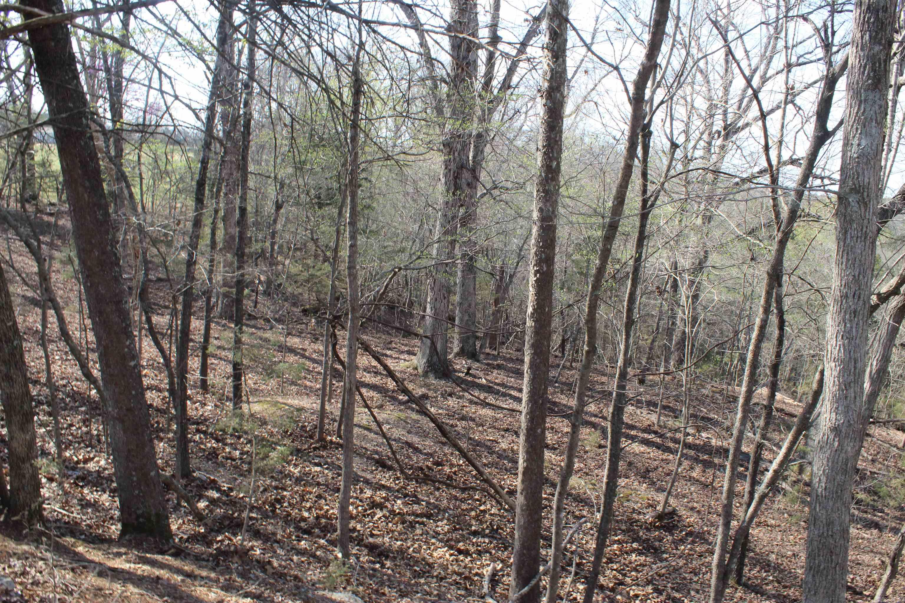 151  Vance Rd  Peel, AR