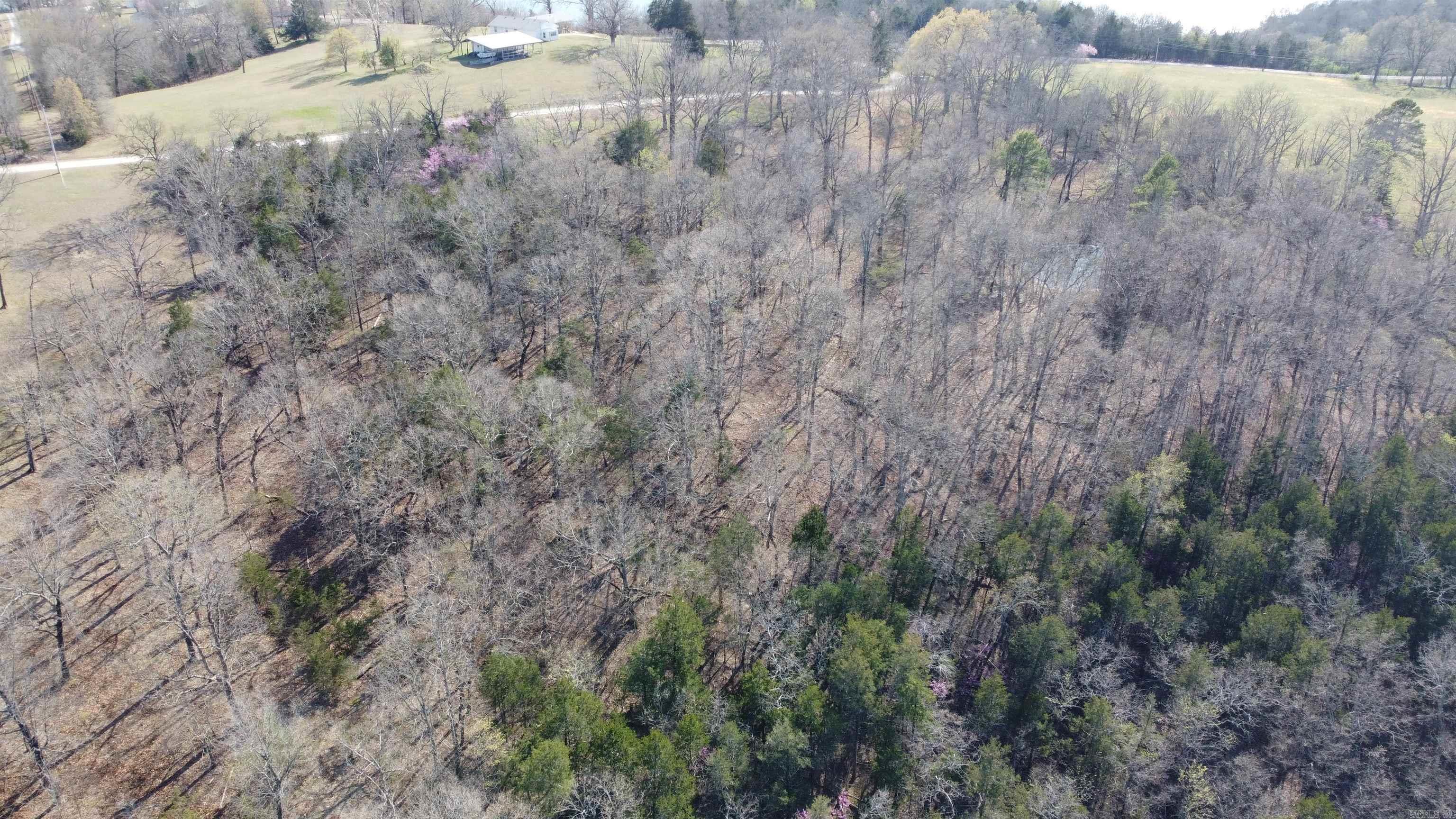 151  Vance Rd  Peel, AR