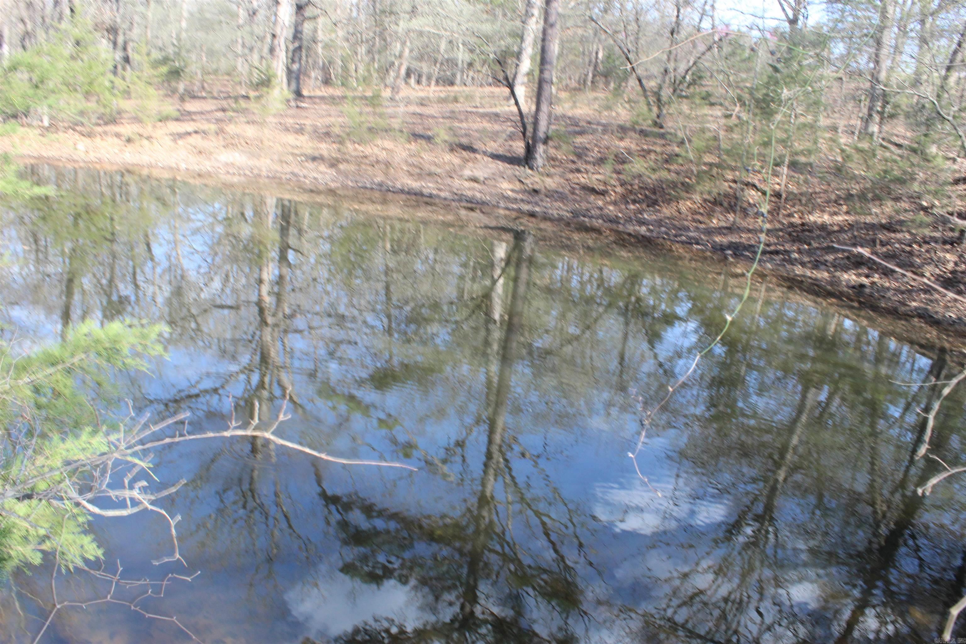151  Vance Rd  Peel, AR