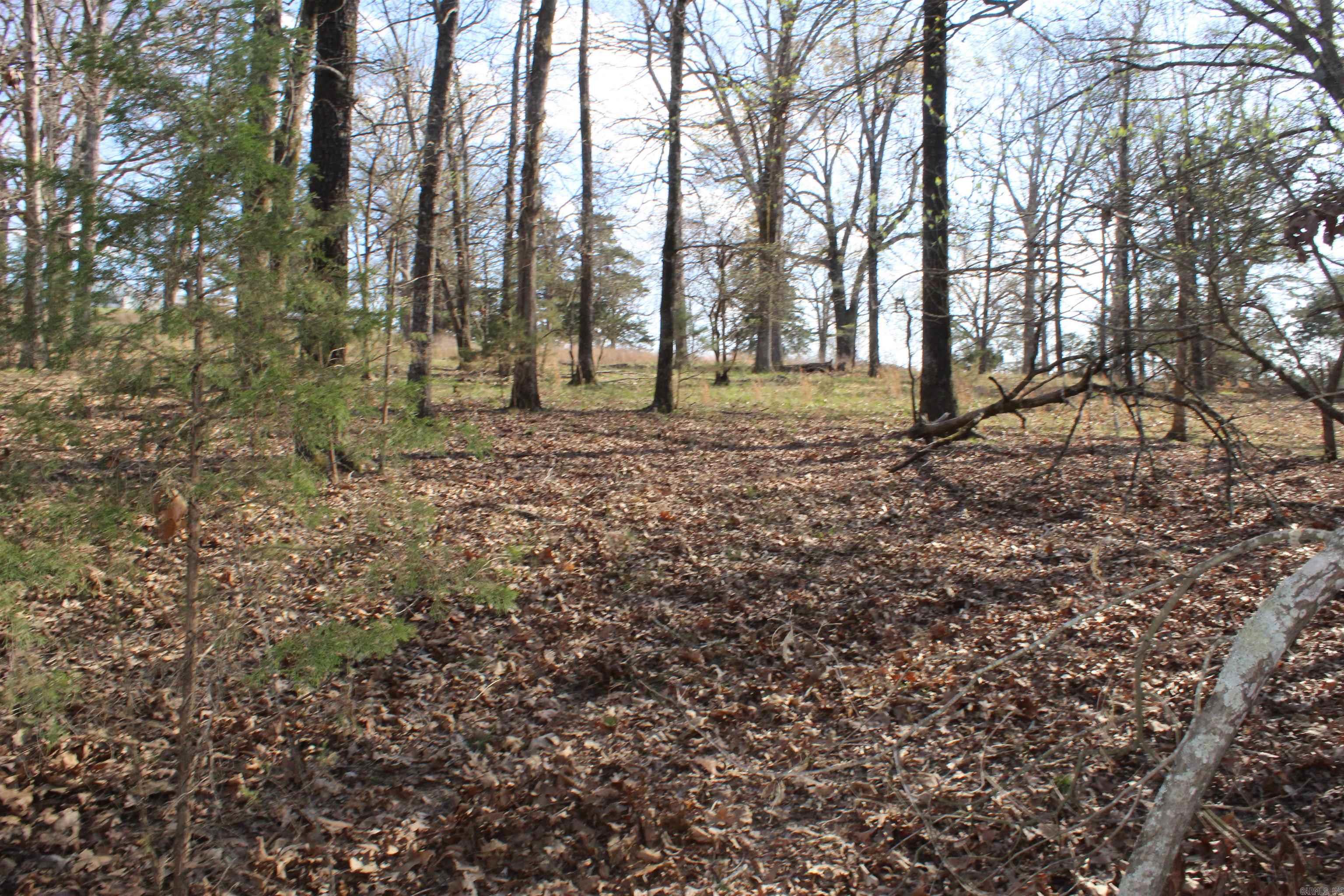 151  Vance Rd  Peel, AR