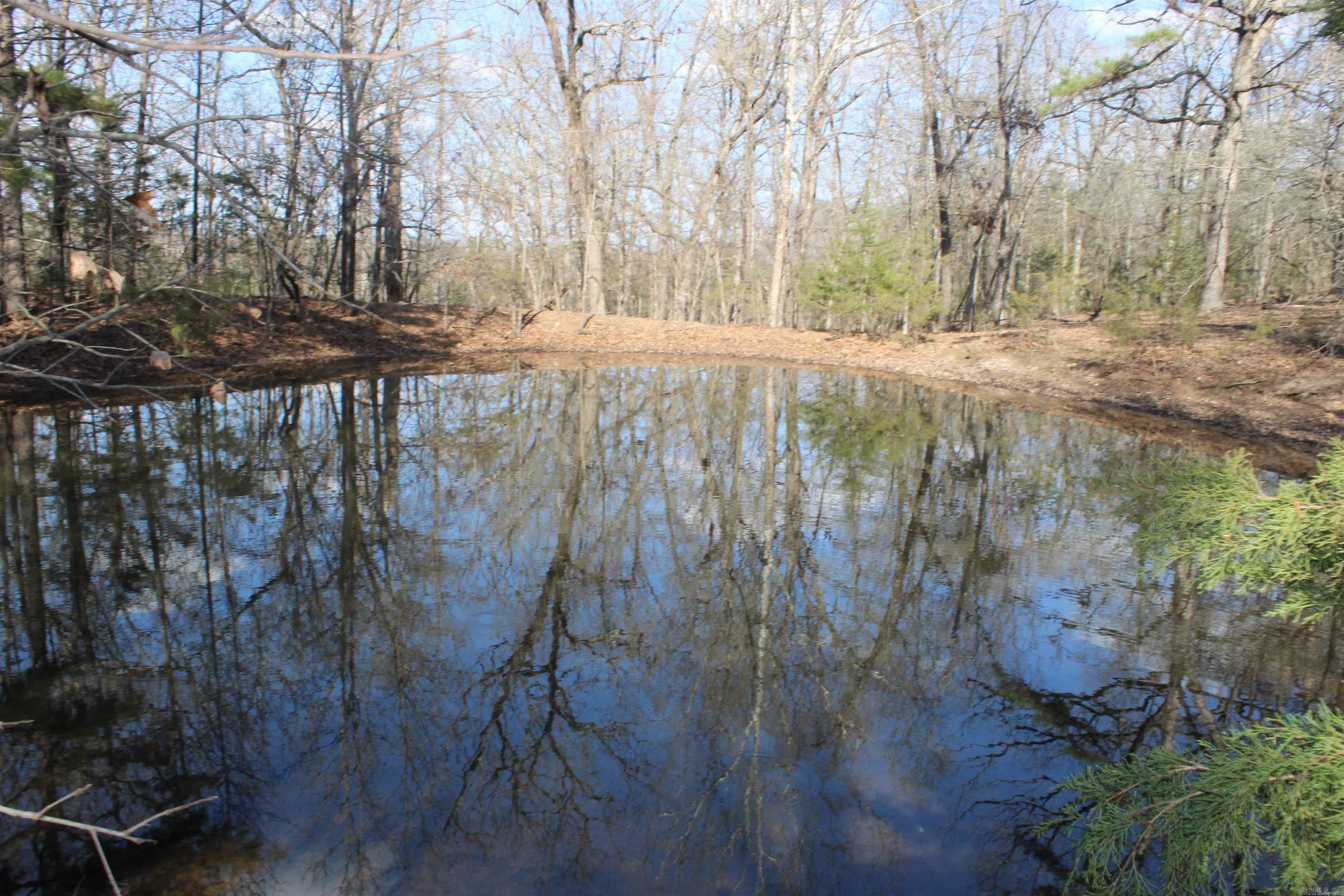 151  Vance Rd  Peel, AR