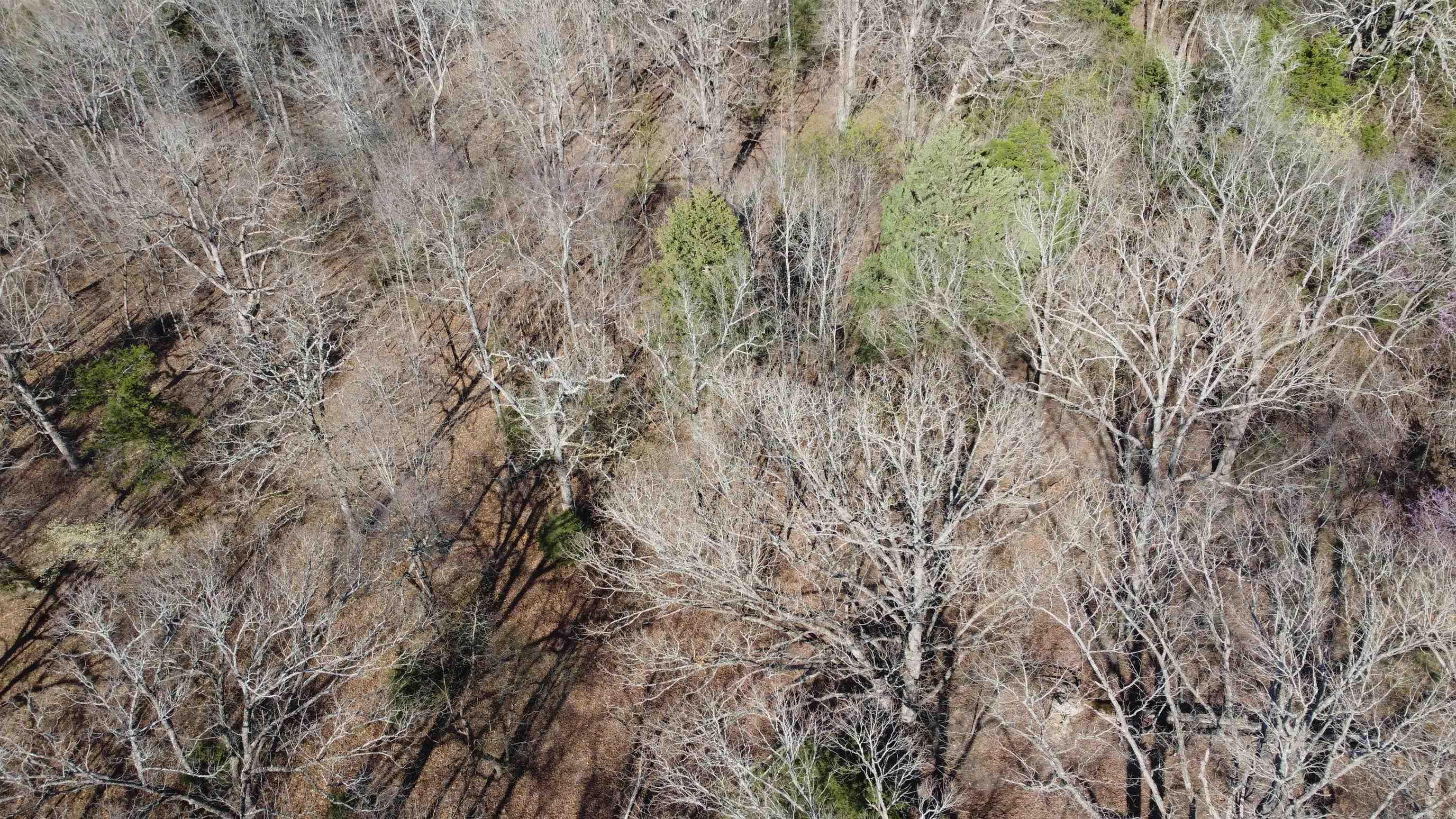 151  Vance Rd  Peel, AR
