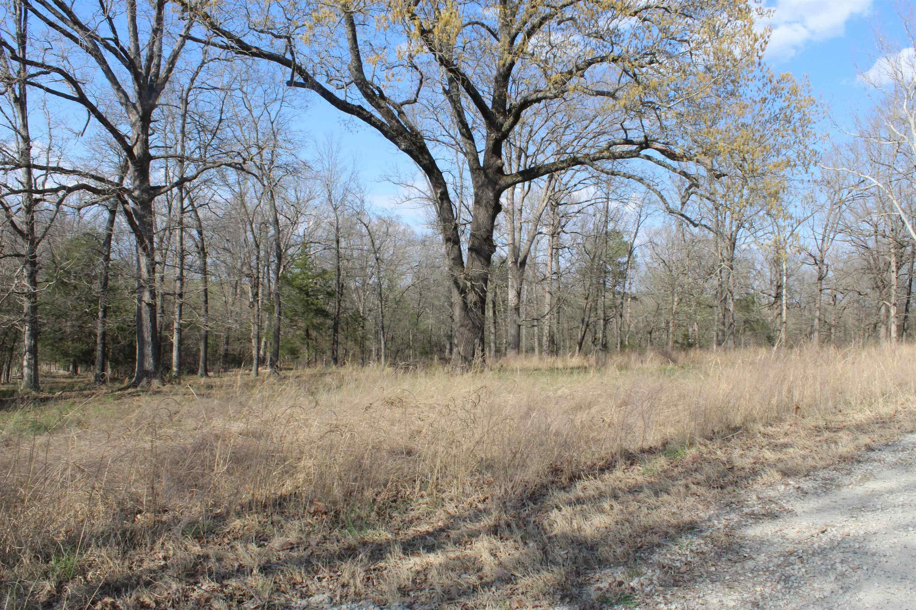 151  Vance Rd  Peel, AR
