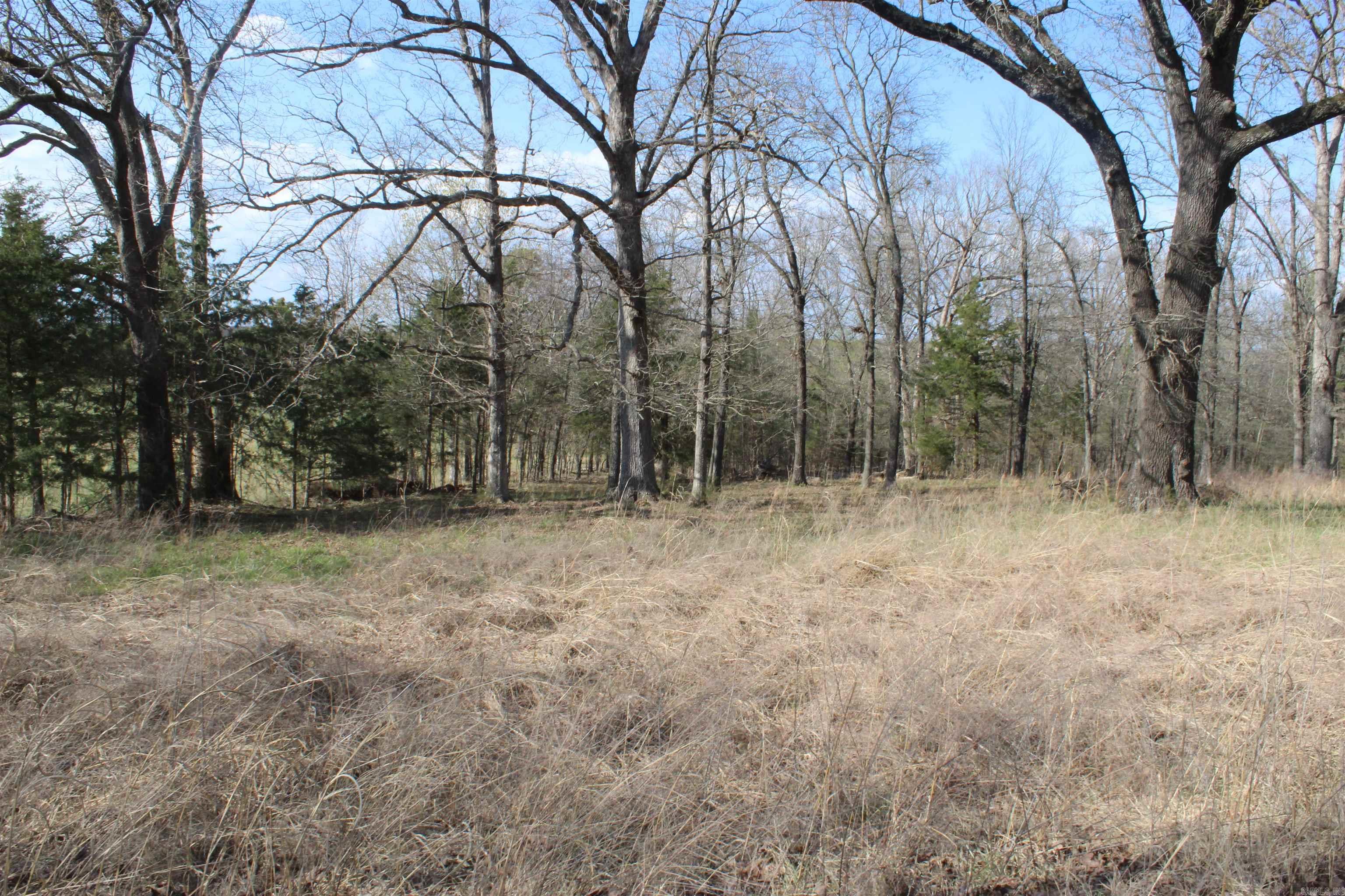 151  Vance Rd  Peel, AR