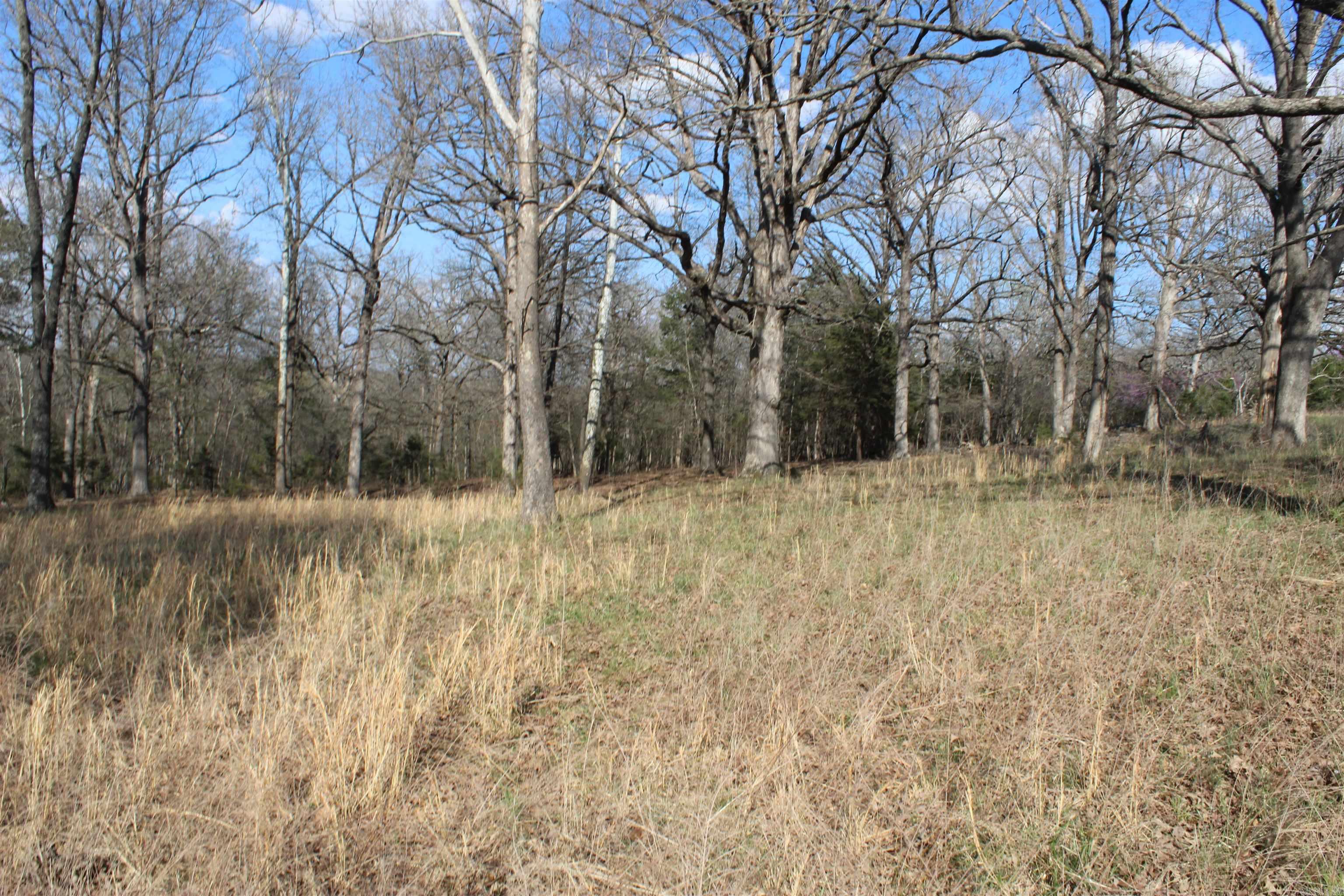 151  Vance Rd  Peel, AR