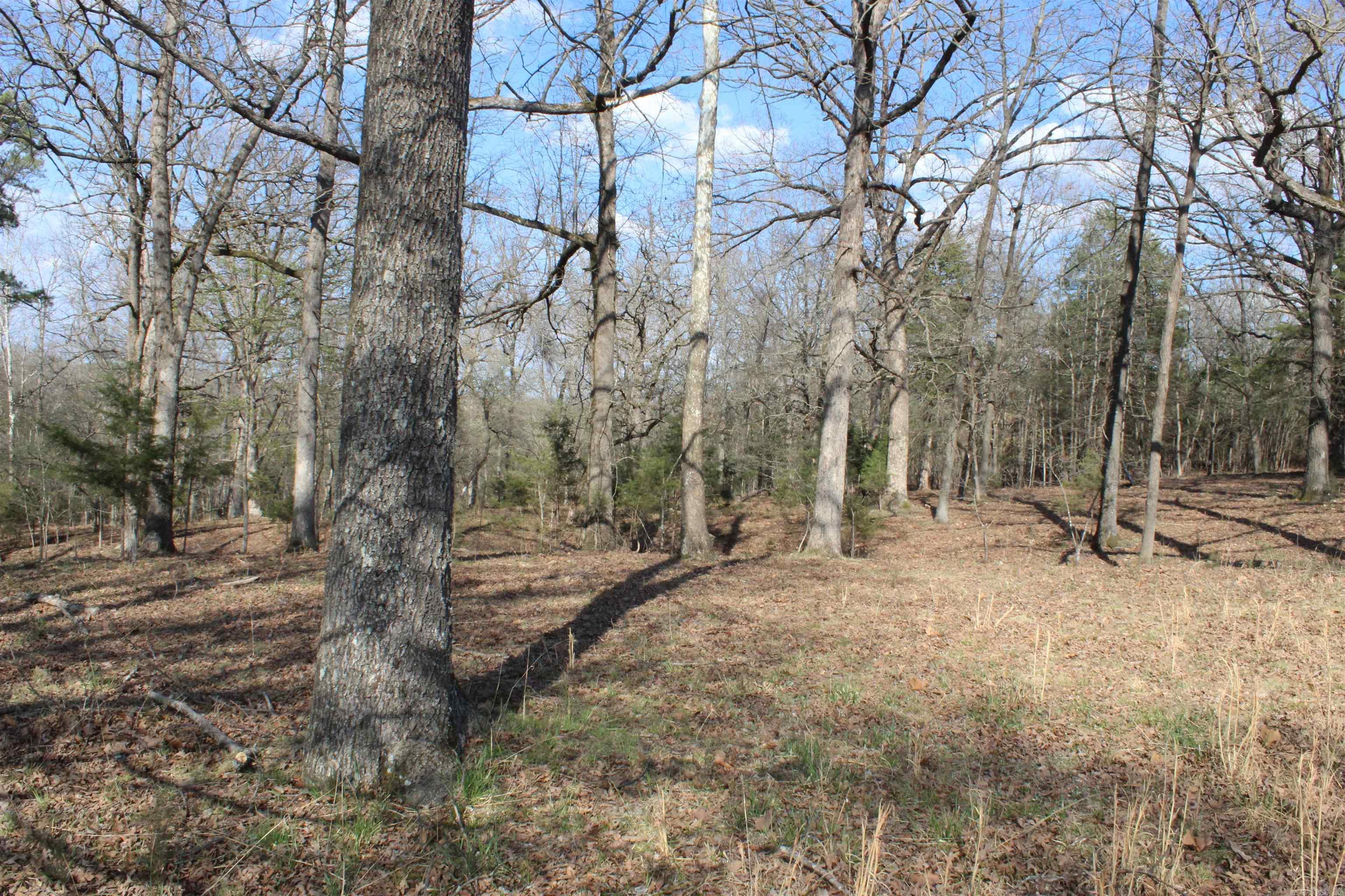 151  Vance Rd  Peel, AR