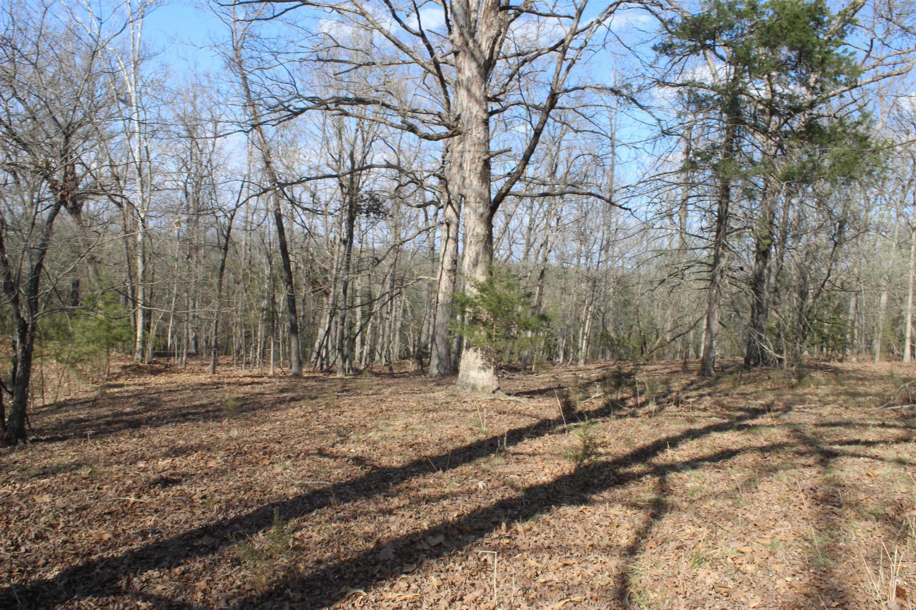 151  Vance Rd  Peel, AR