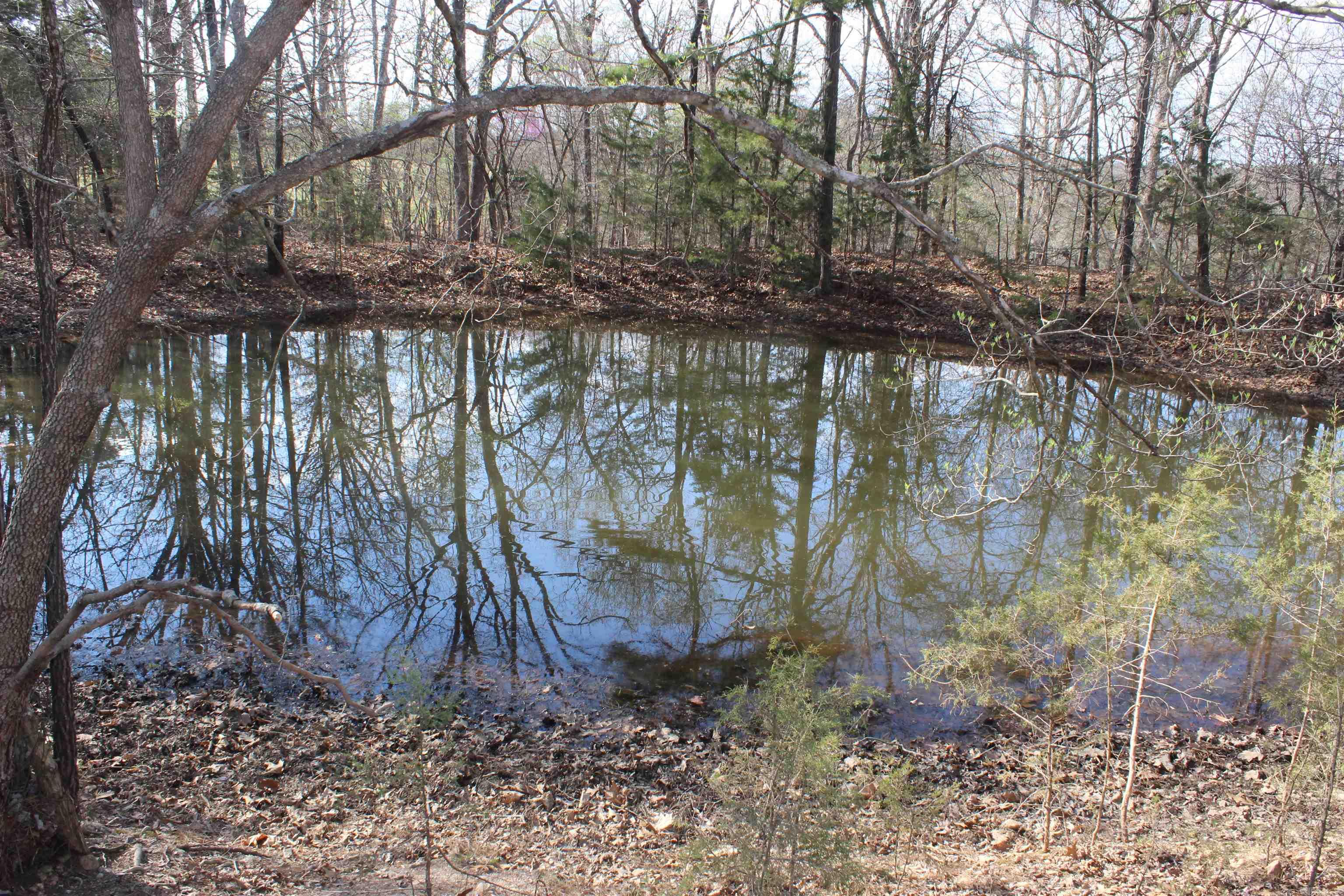 151  Vance Rd  Peel, AR