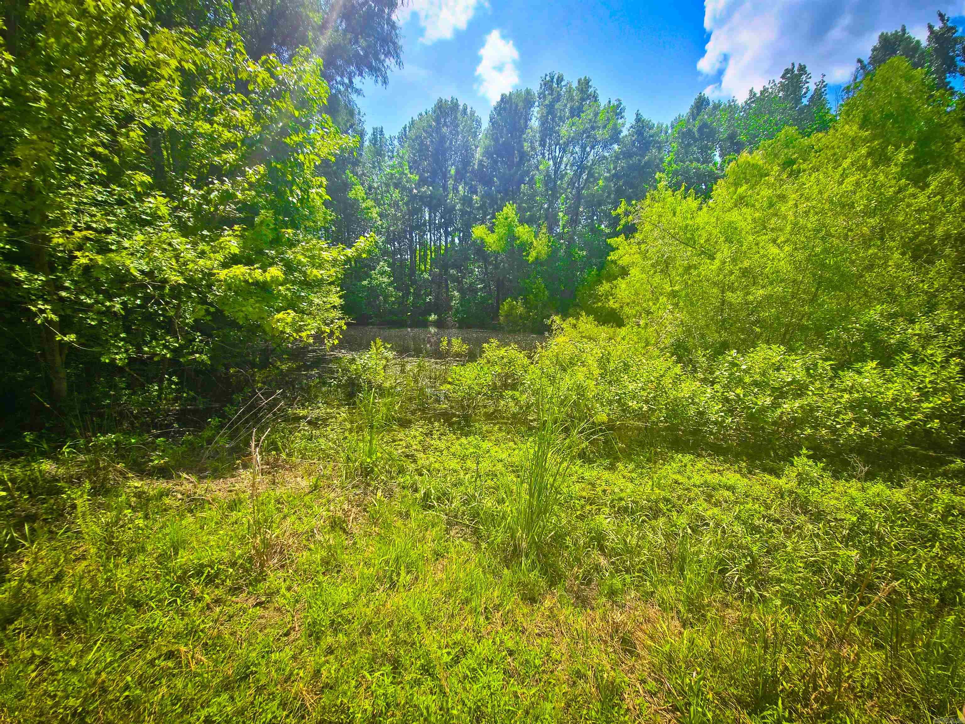 84 Copper Springs  Greenbrier, AR