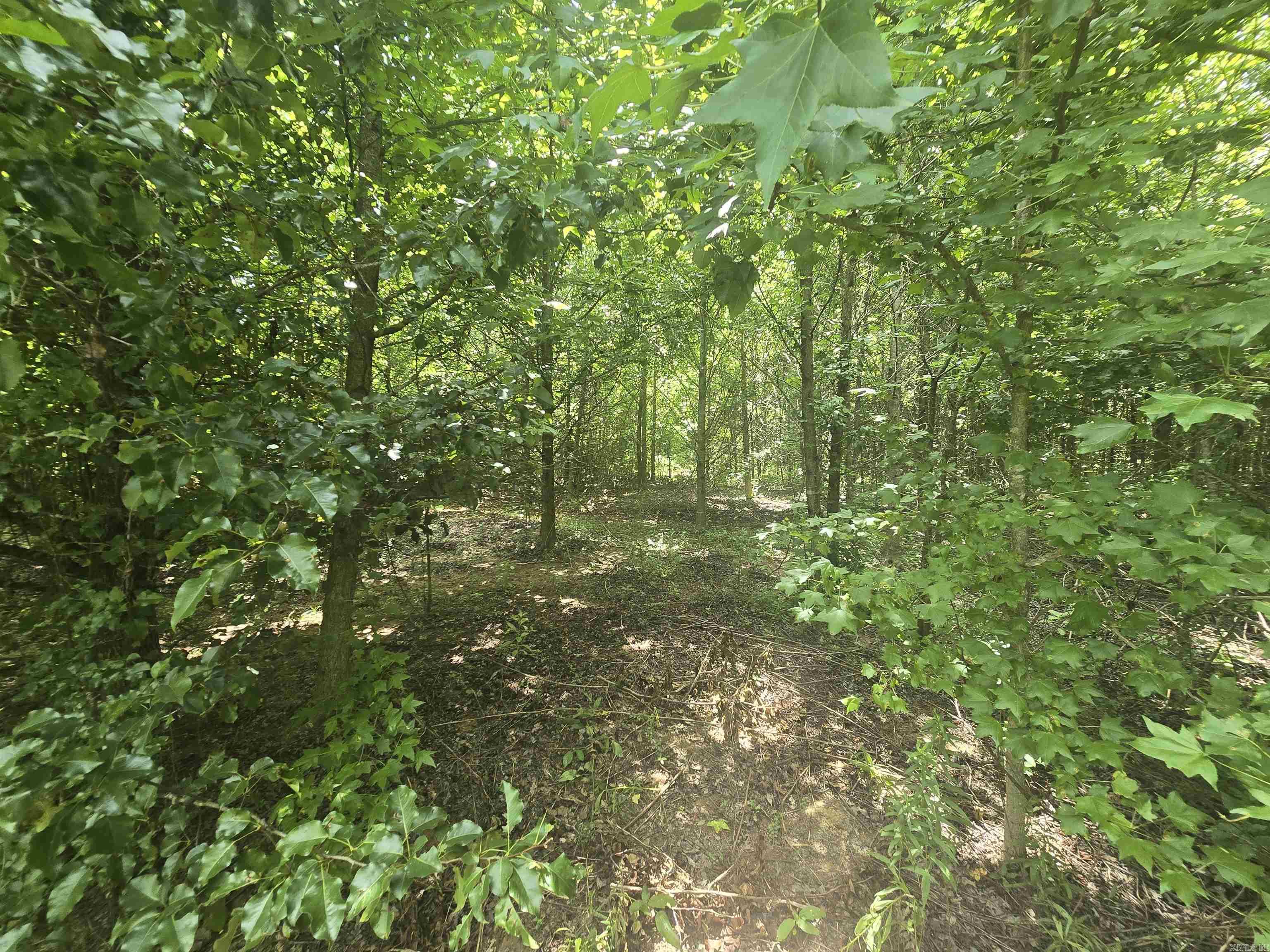 84 Copper Springs  Greenbrier, AR