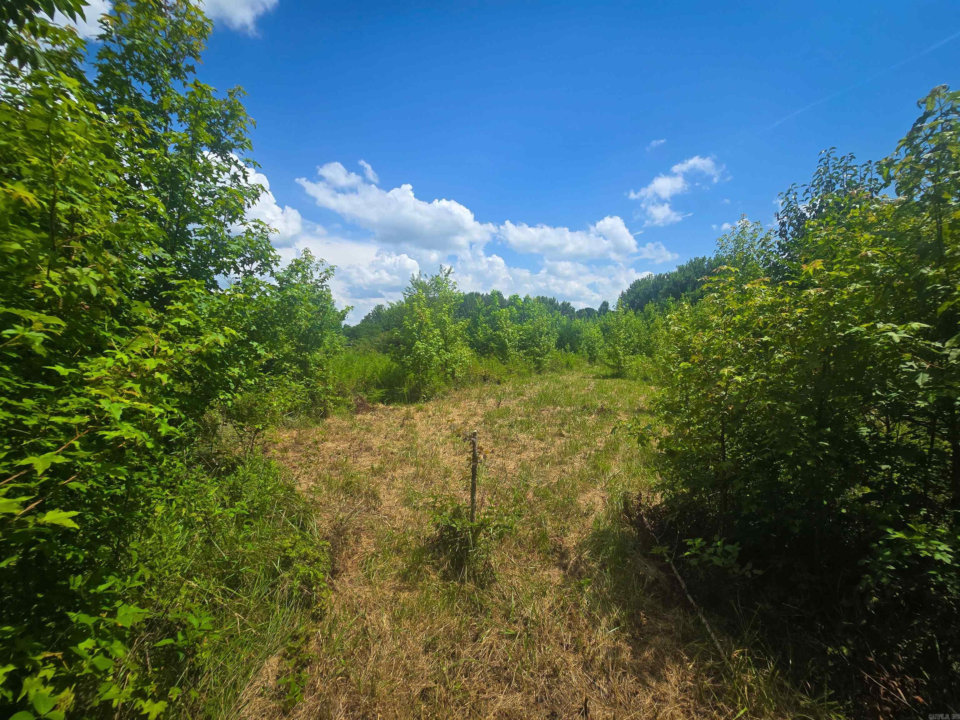 84 Copper Springs  Greenbrier, AR