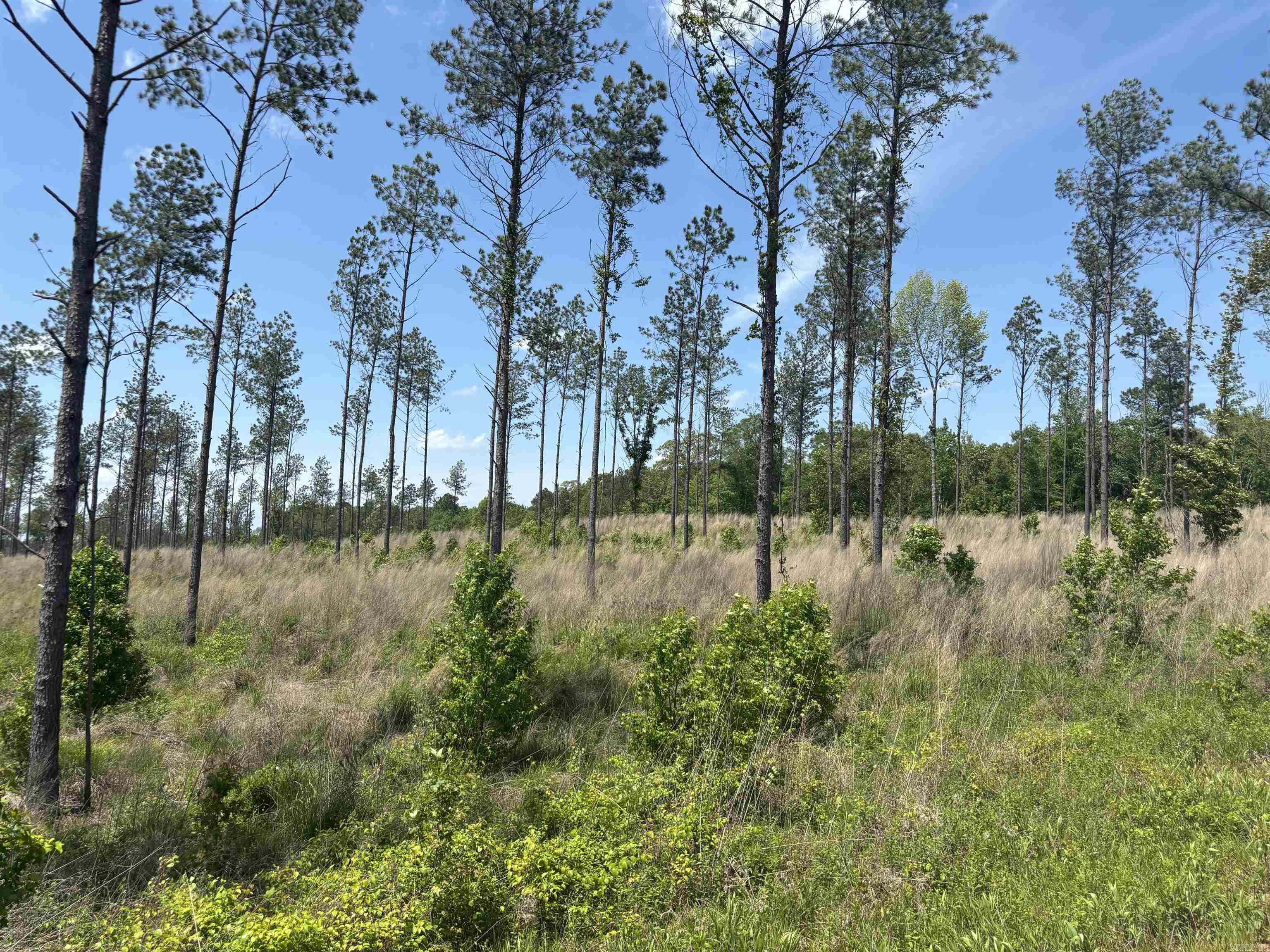 0  Grant 433  Sheridan, AR
