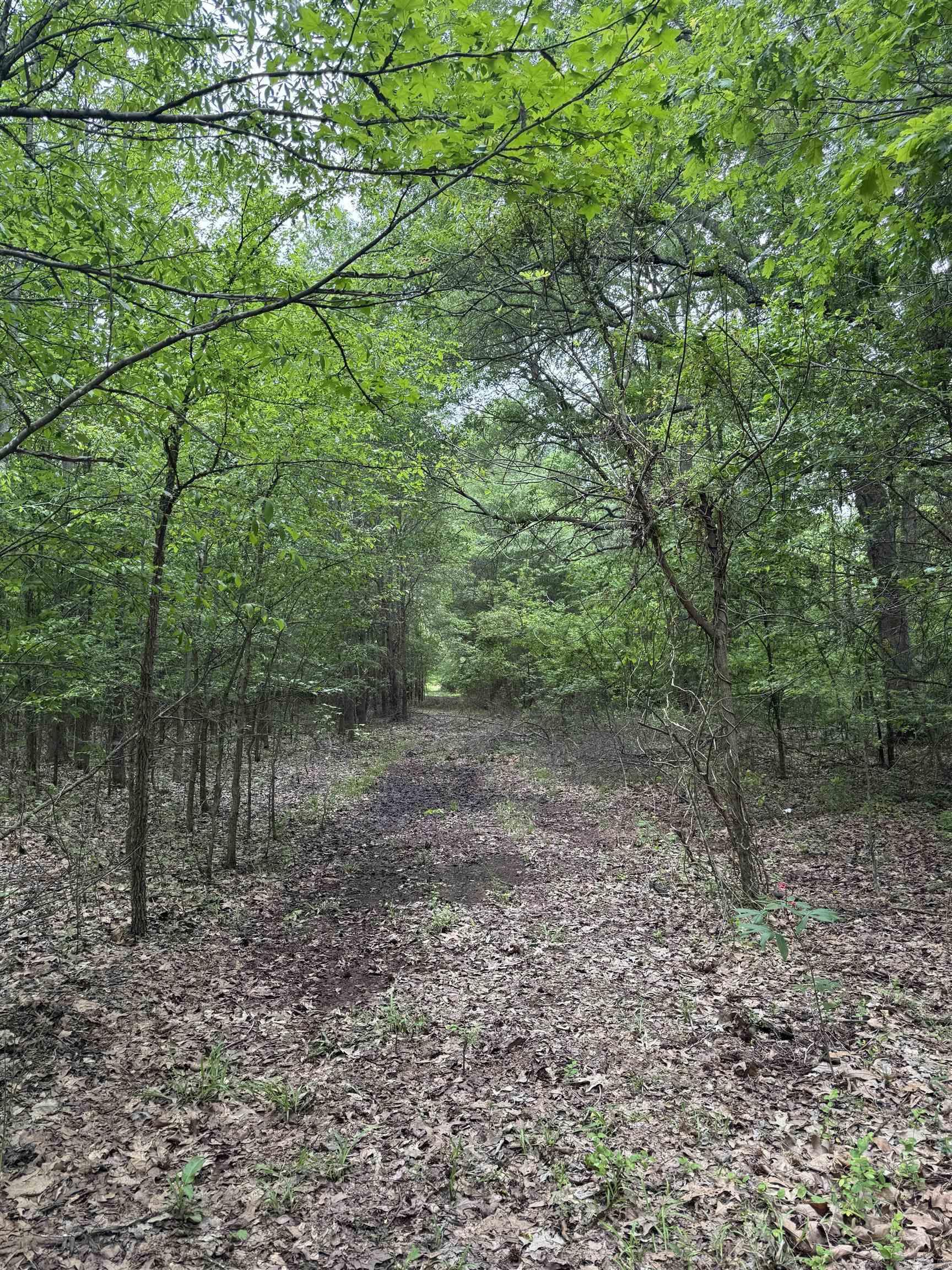 000  HWY 64  Augusta, AR