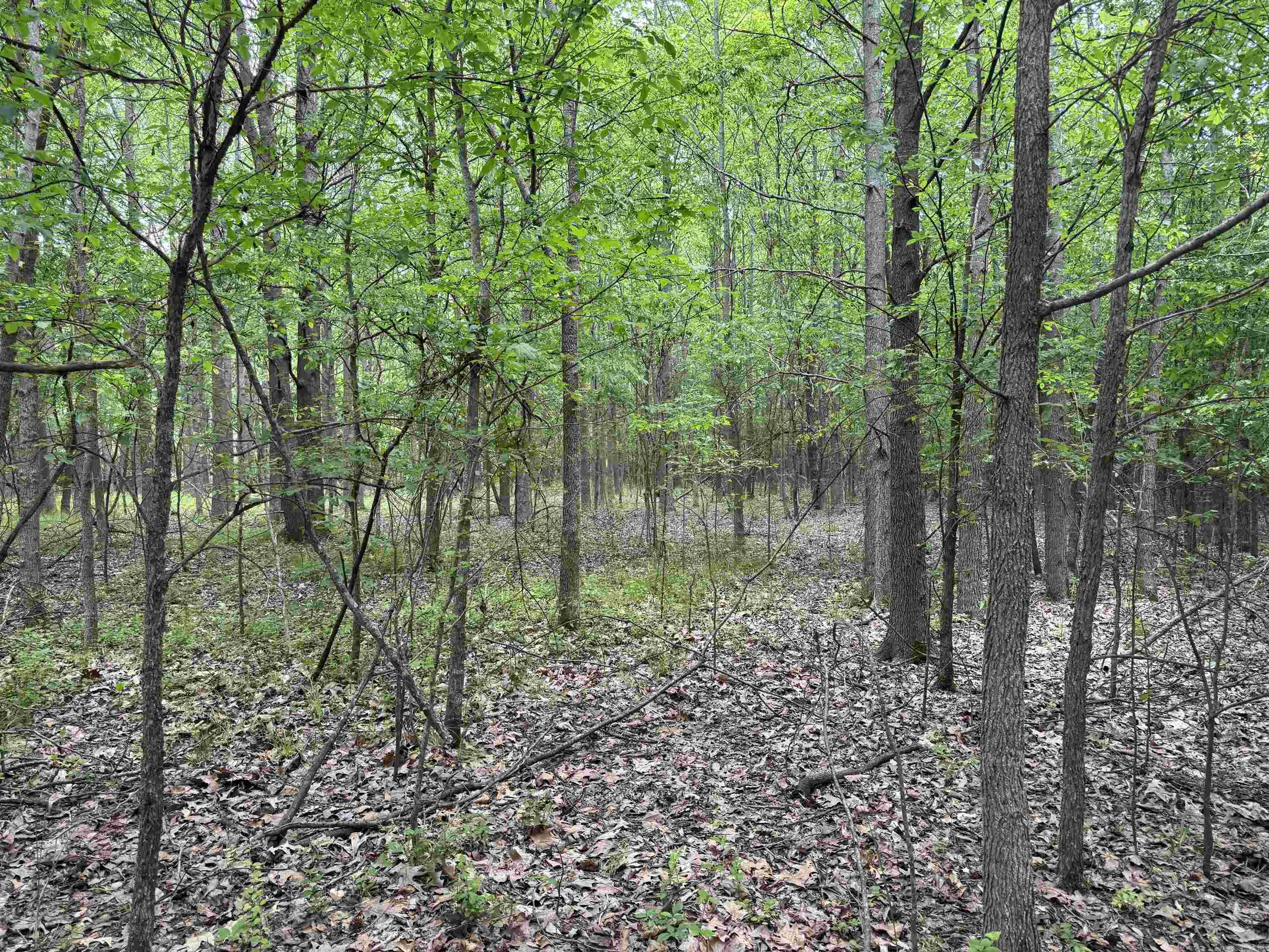 000  HWY 64  Augusta, AR