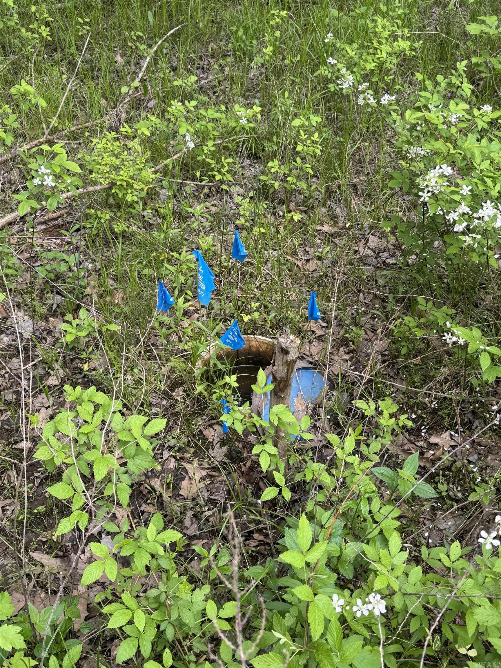 000  HWY 64  Augusta, AR