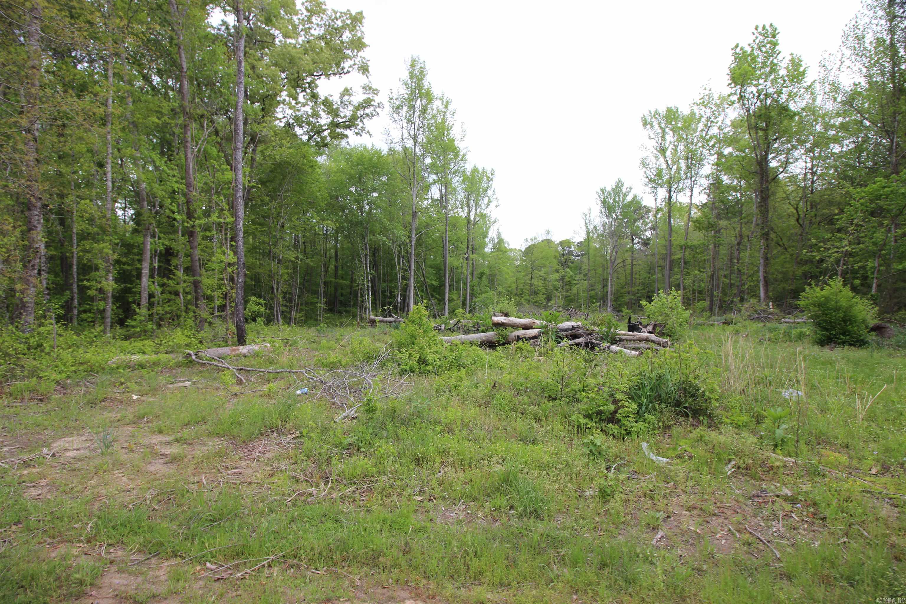   West Sardis Road  Bauxite, AR