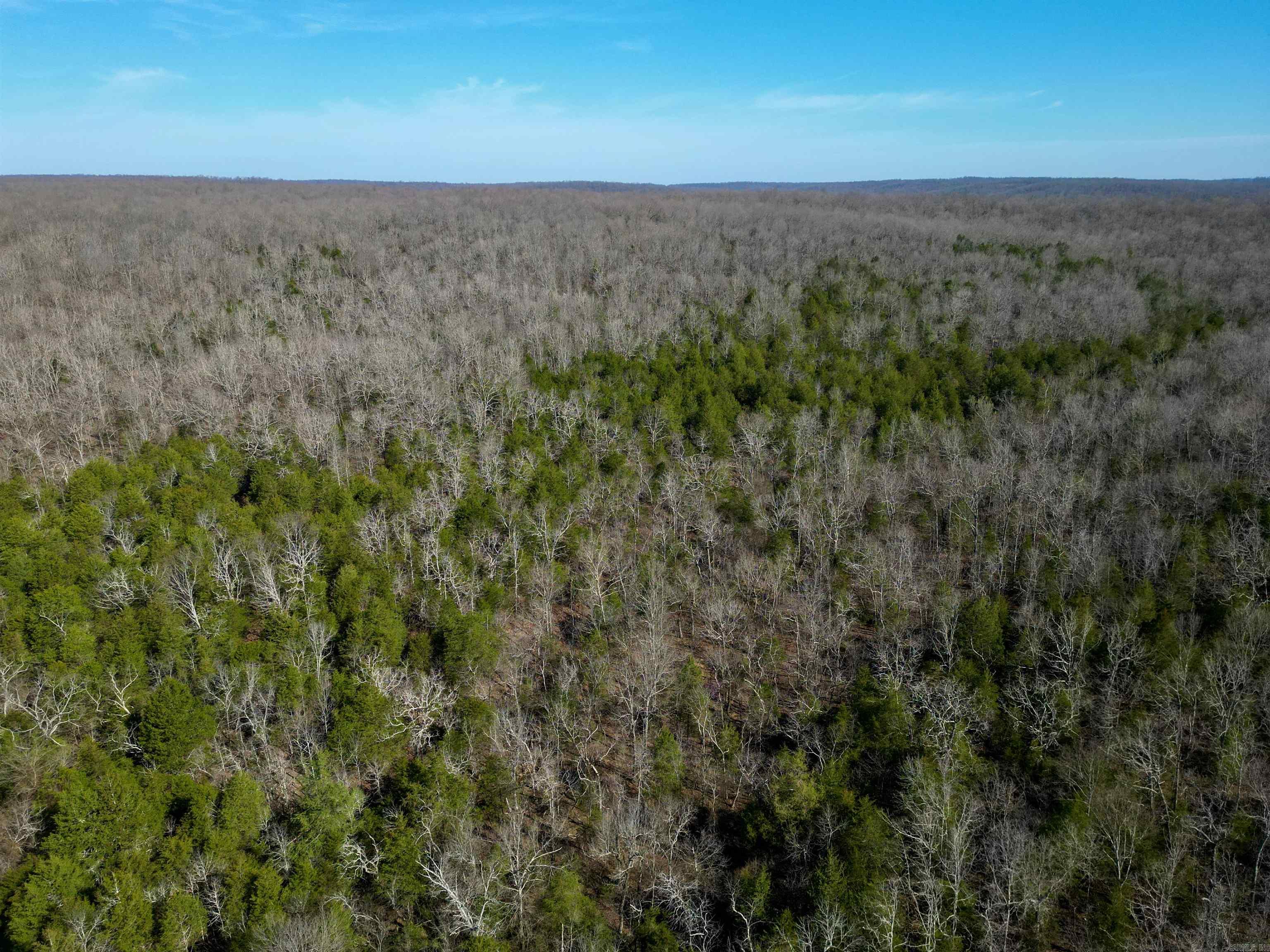 TBD  Newman Trail  Williford, AR