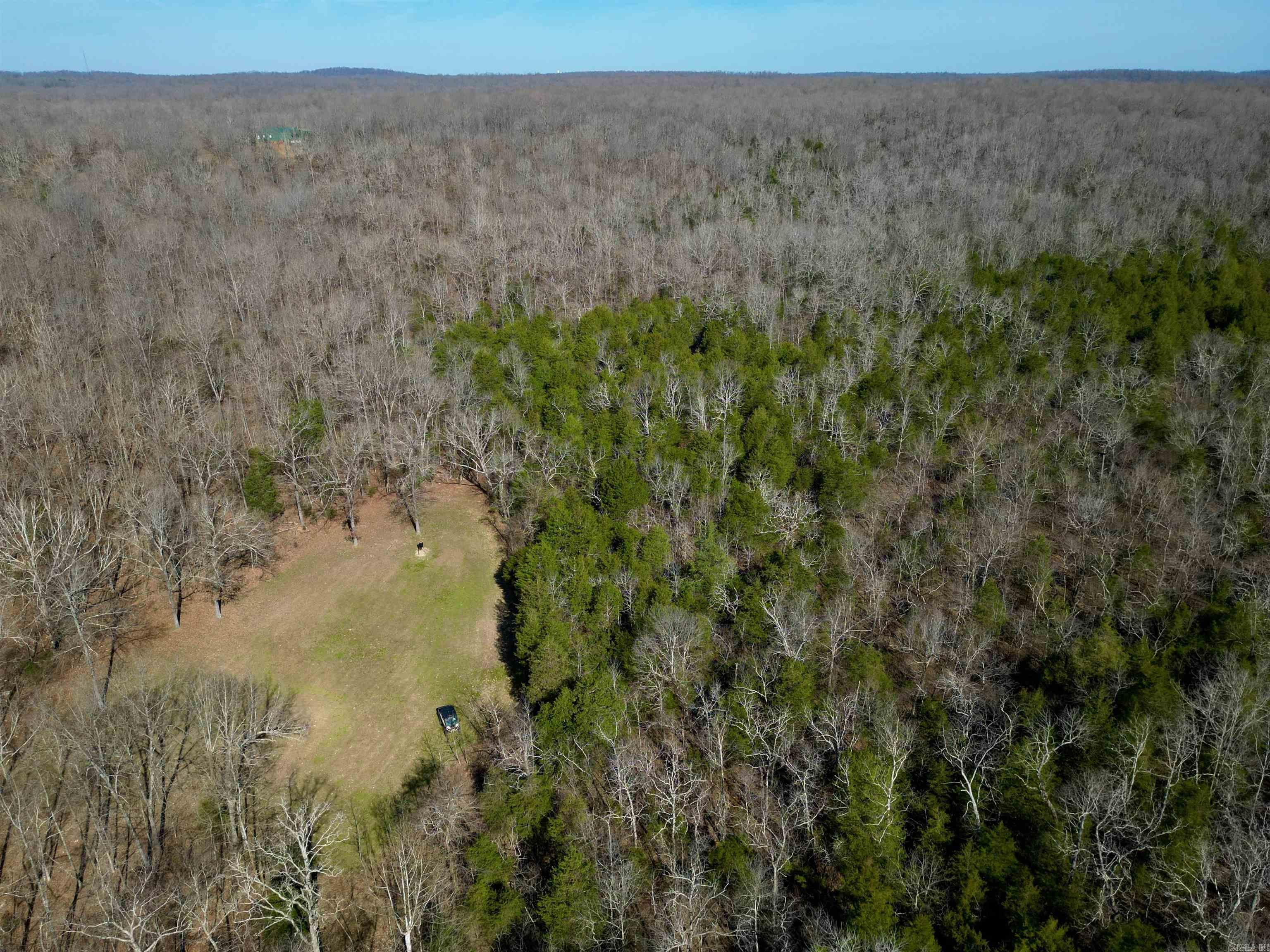 TBD  Newman Trail  Williford, AR