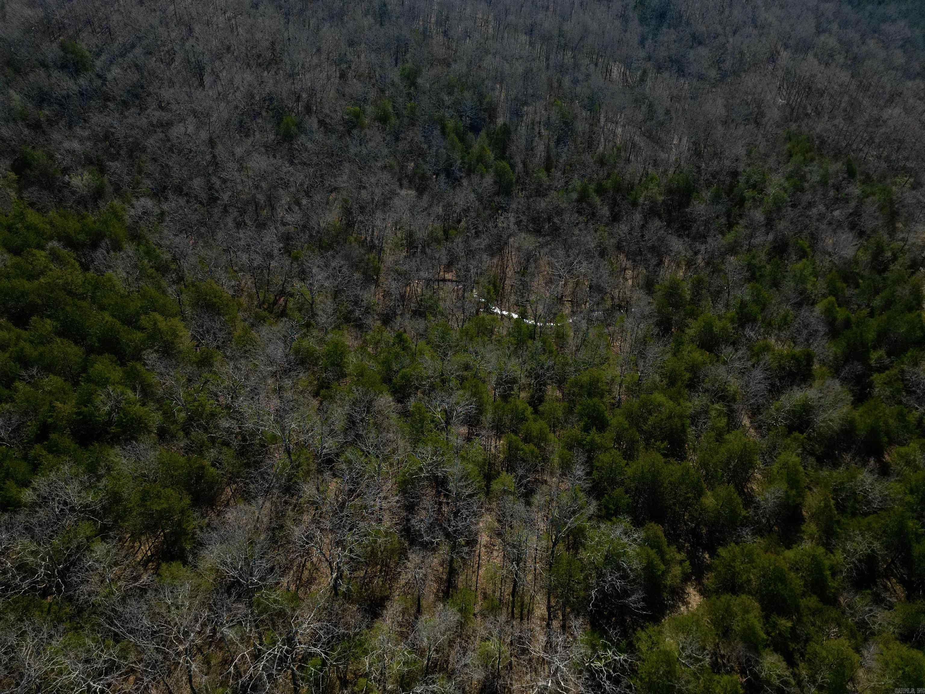 TBD  Newman Trail  Williford, AR