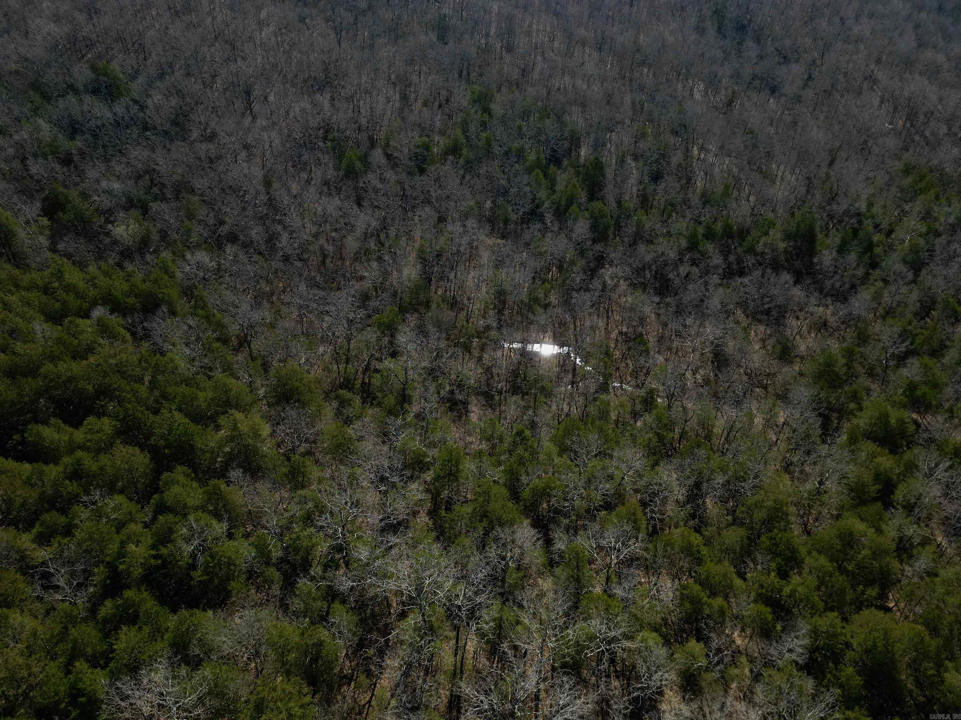 TBD  Newman Trail  Williford, AR