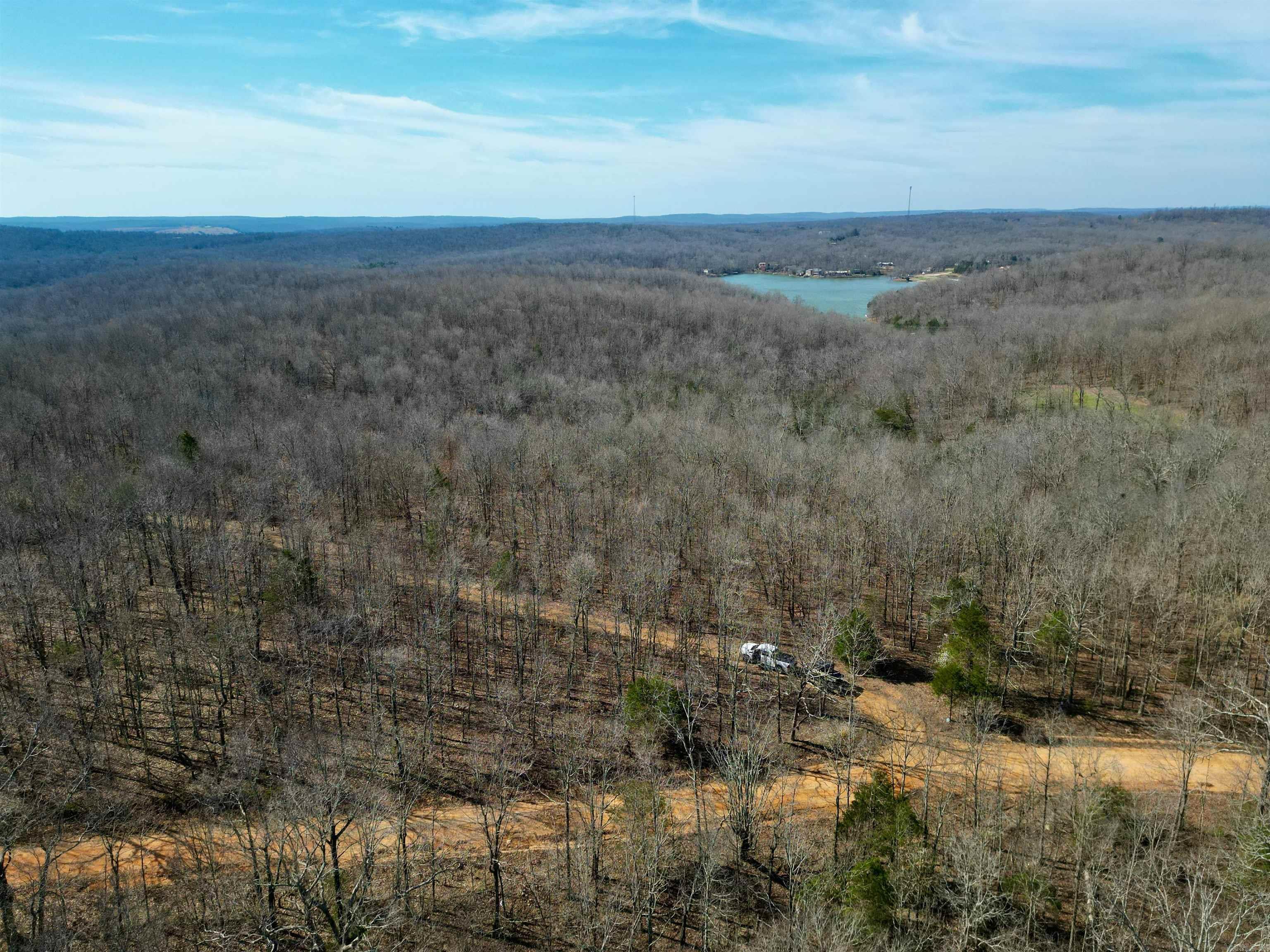 TBD  Newman Trail  Williford, AR